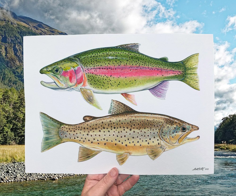 trout-duo-insitu.jpg