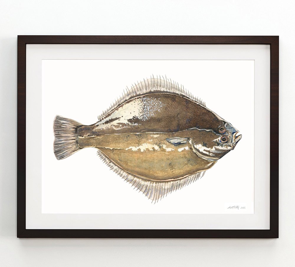sand-flounder-framed.jpg
