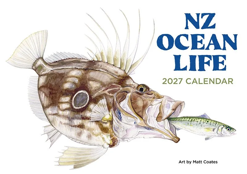 calendar2027front.jpg