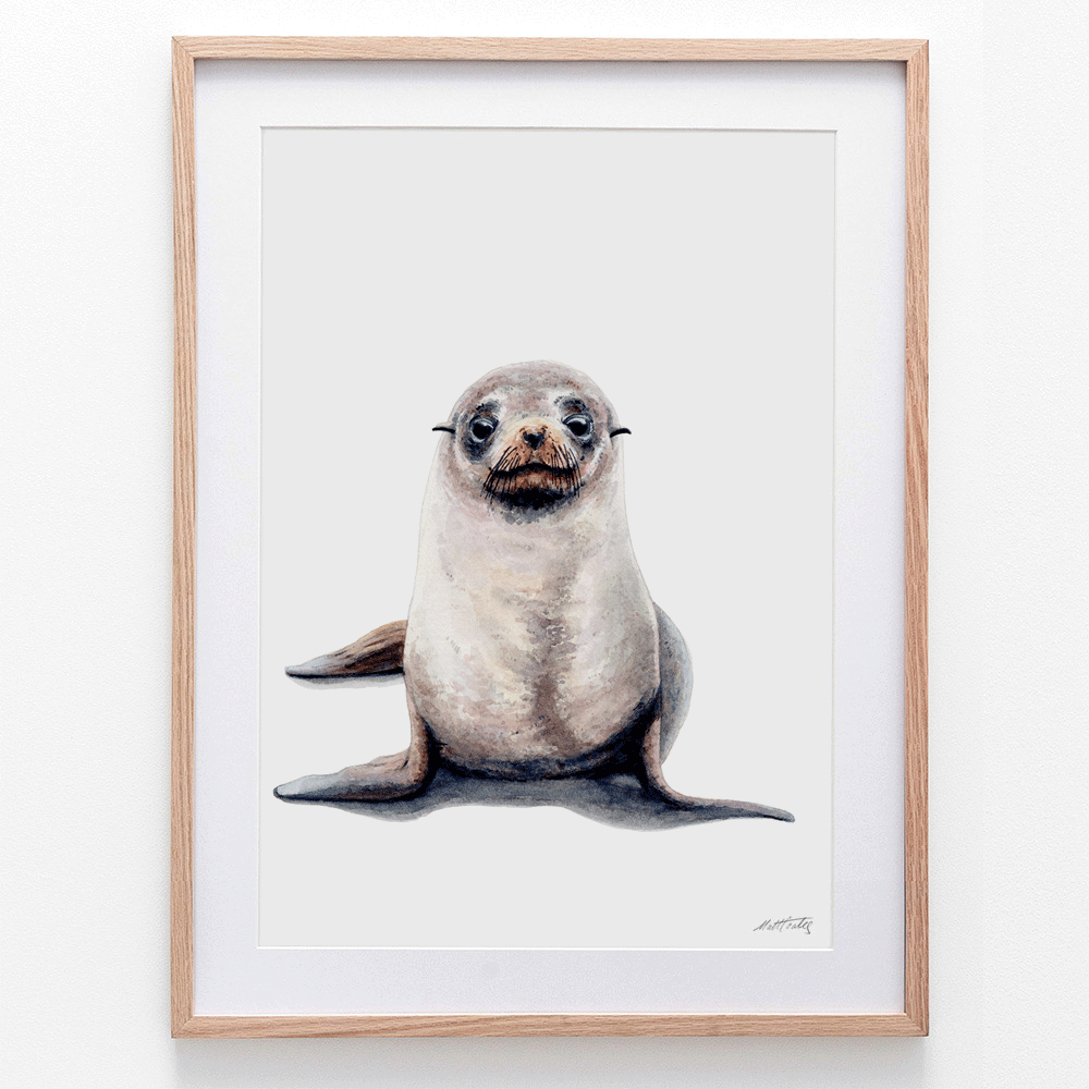fur-seal-framed.png