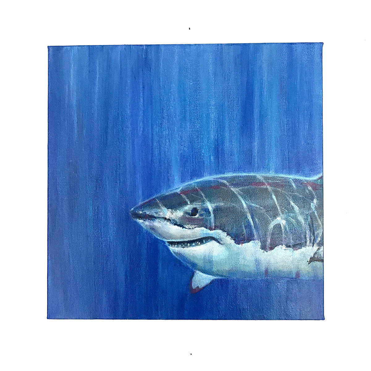 'Bruce' acrylic on canvas
