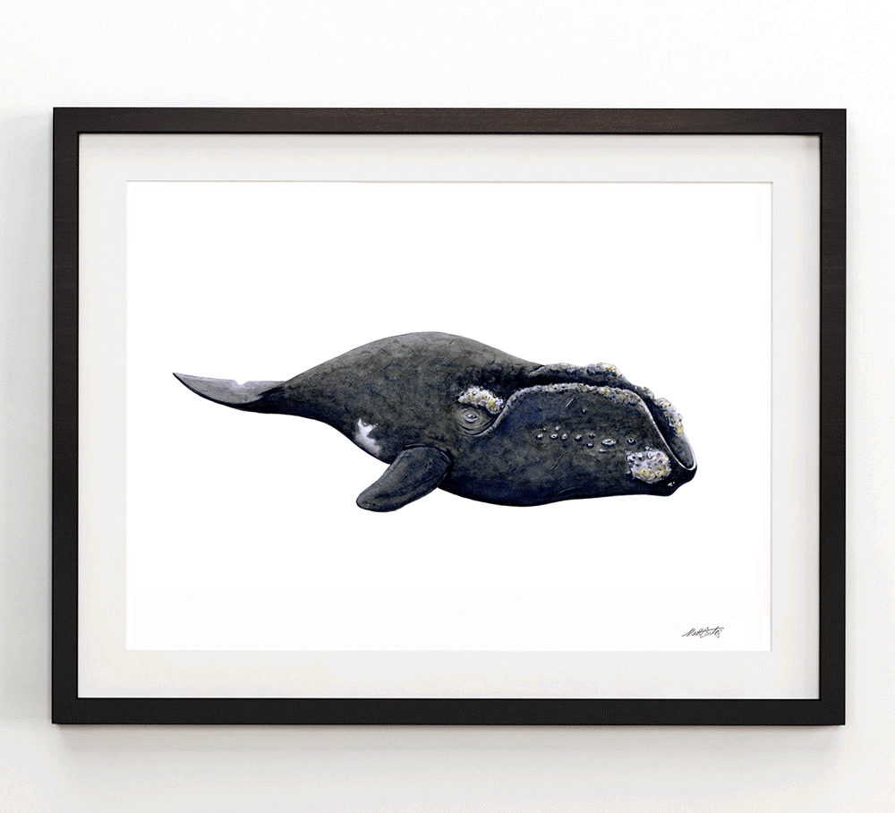 southern-right-framed.png