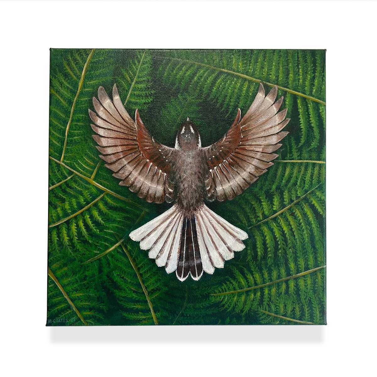 'Fantail Flyover' acrylic on canvas