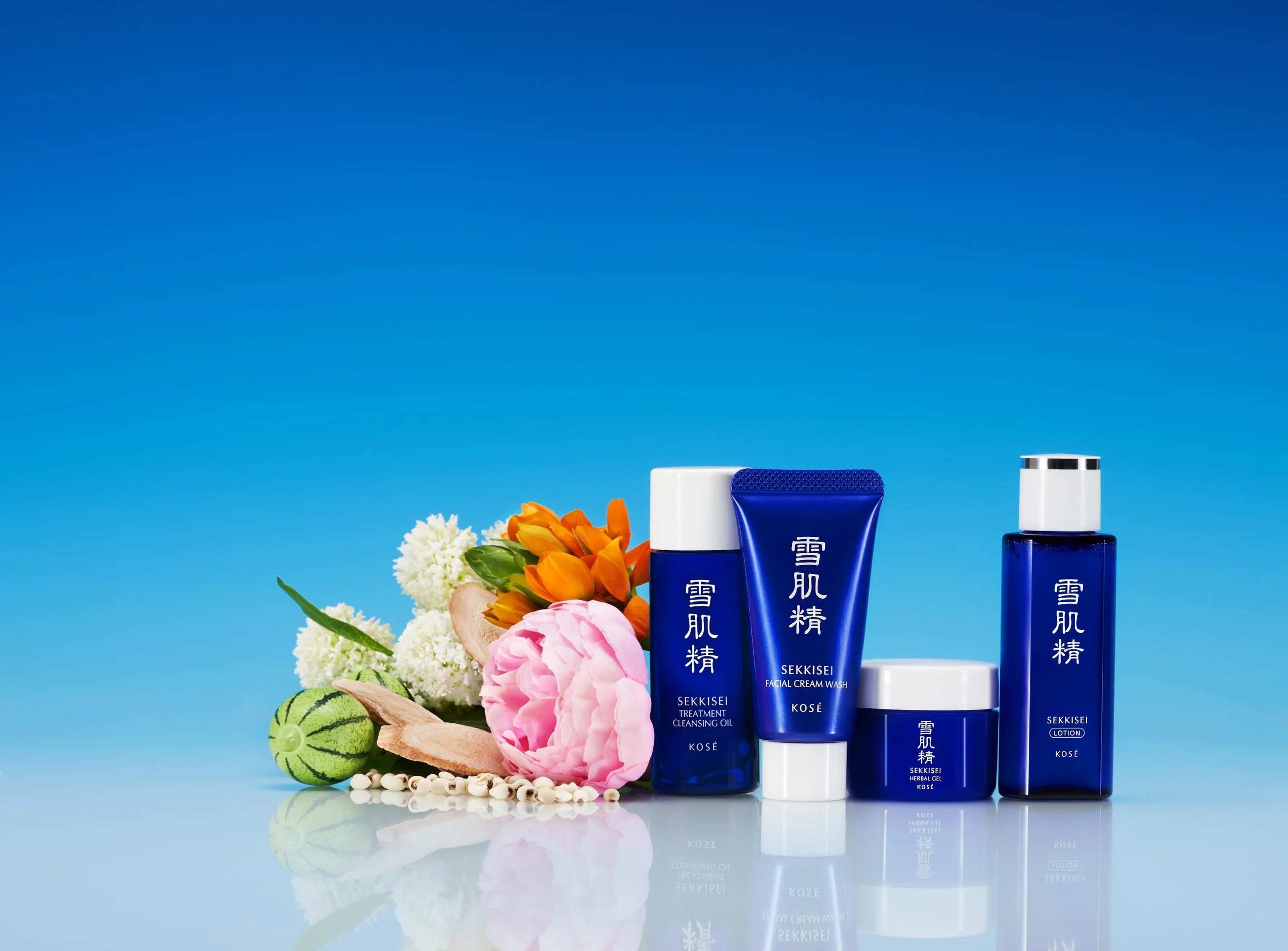 SEKKISEI KEY VISUALS