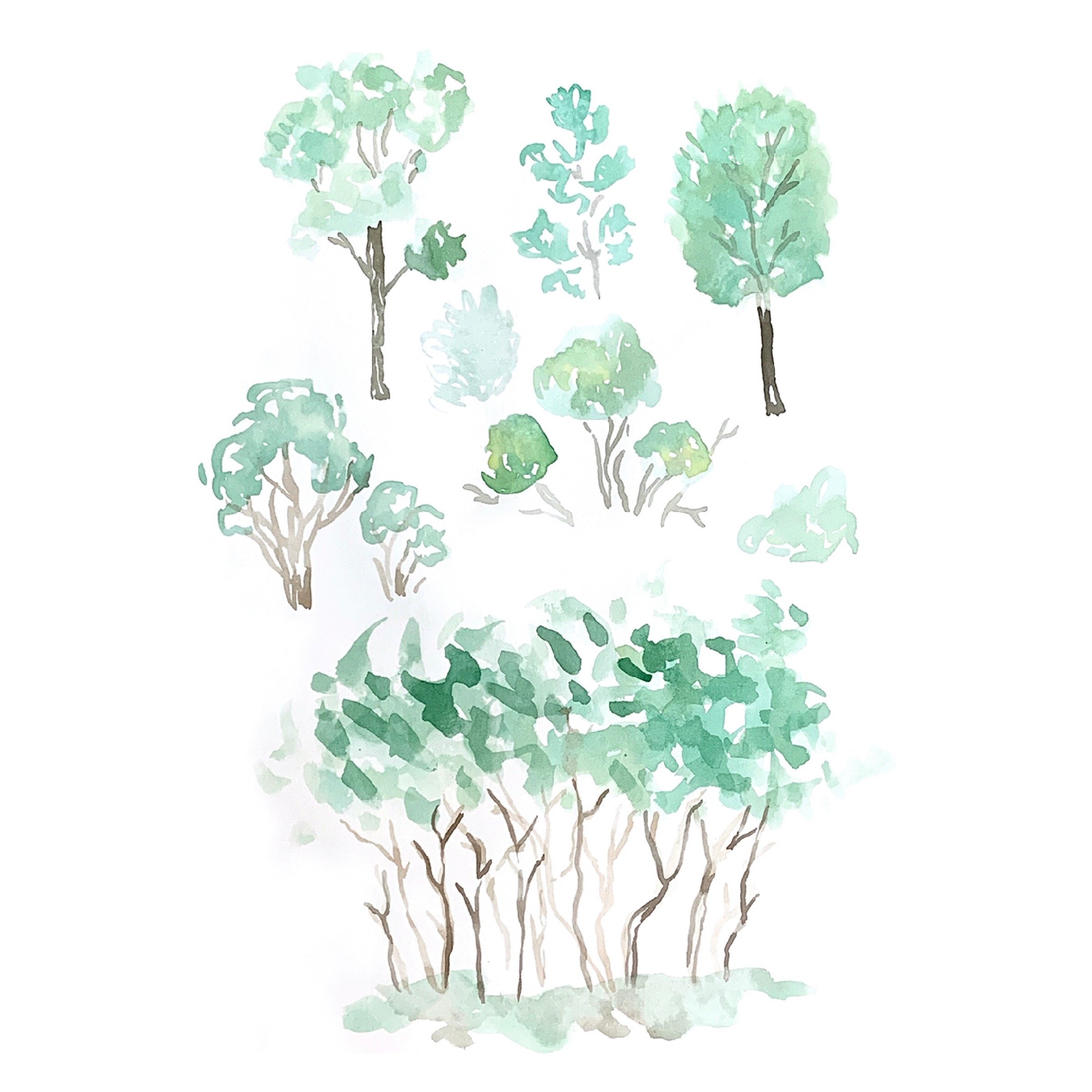 16_Plant.JPG
