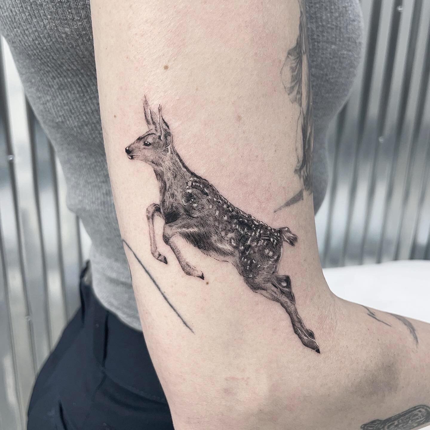 Custom fawn 🦌 by @eian.tattoo 
.
Eian has new flash and is always open for customs. DM @eian.tattoo with your ideas!

#inkandwatertattoo #inkandwaternyc #nyctattoo #nycartist #fineline #finelinetattoo #tttism #illustrativetattoo #traditionalart #ani