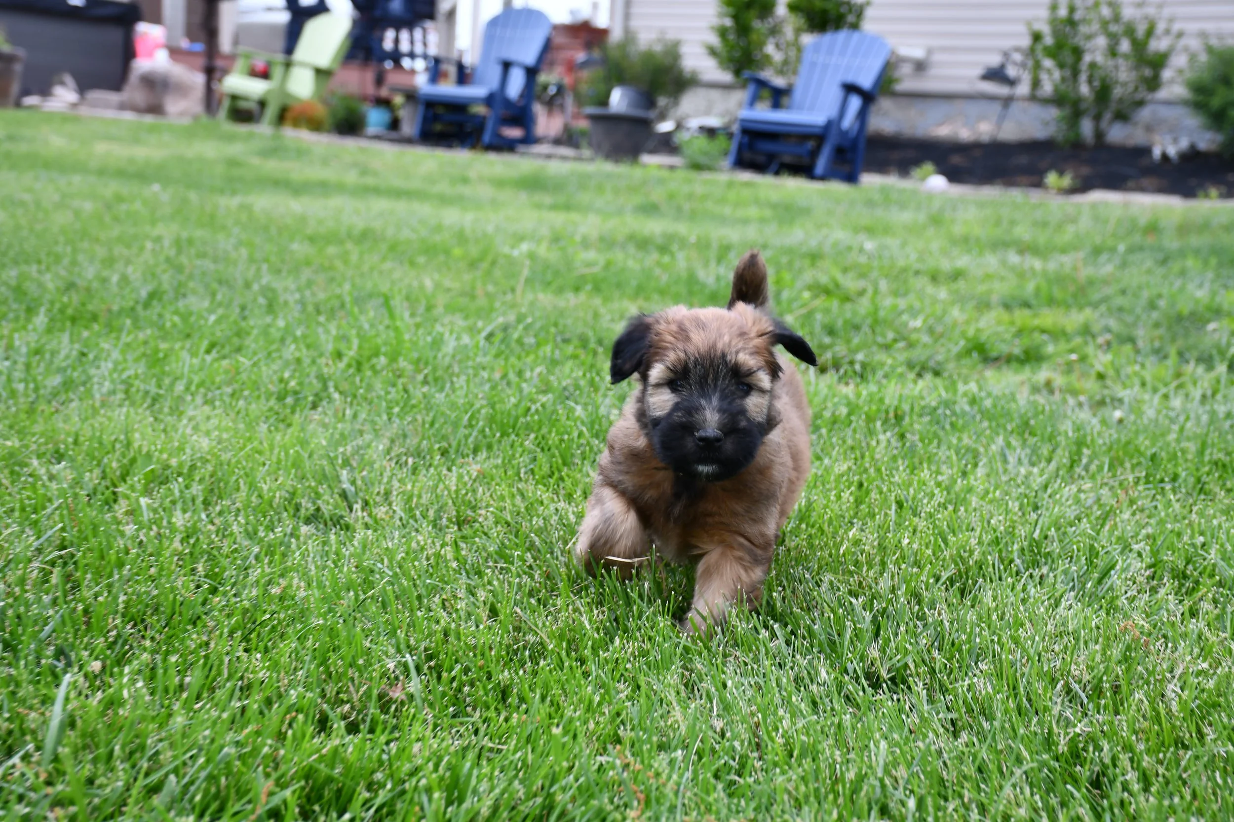 DSC_2789.JPG