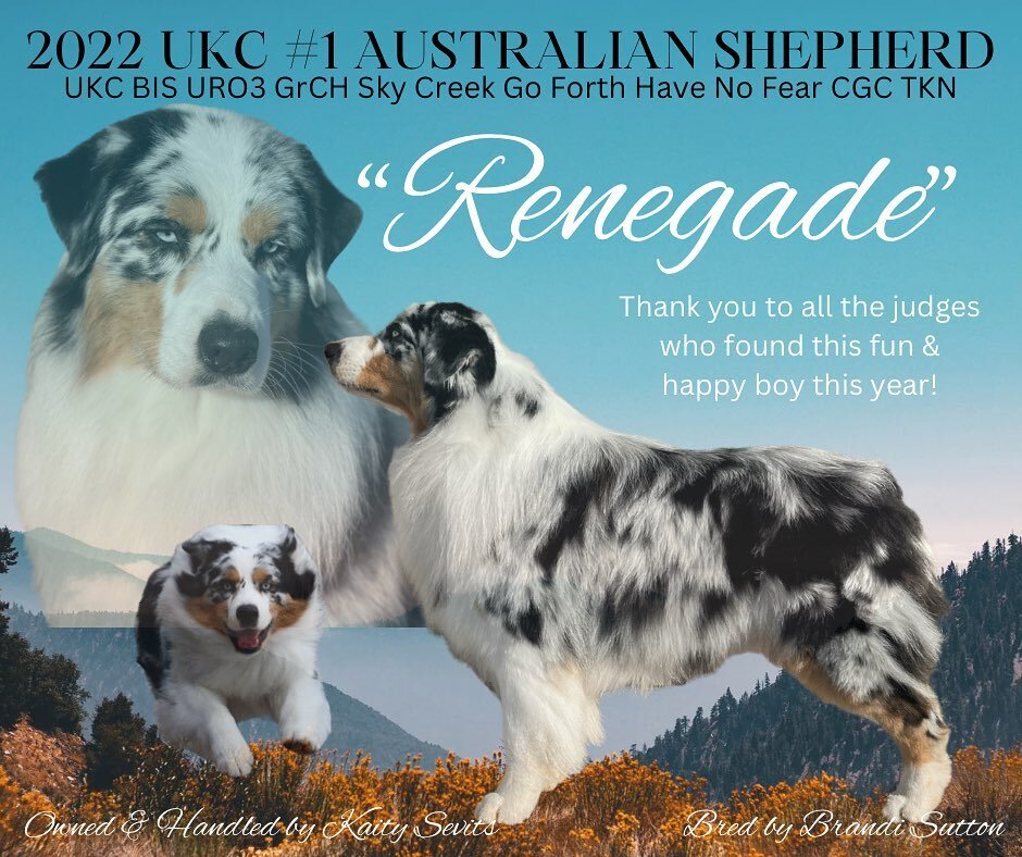 We are so excited to officially announce that Renegade finished 2022 as the #1 Australian Shepherd in UKC! We are very proud of this happy, talented &amp; handsome boy and we are looking forward to crushing some more goals in 2023!