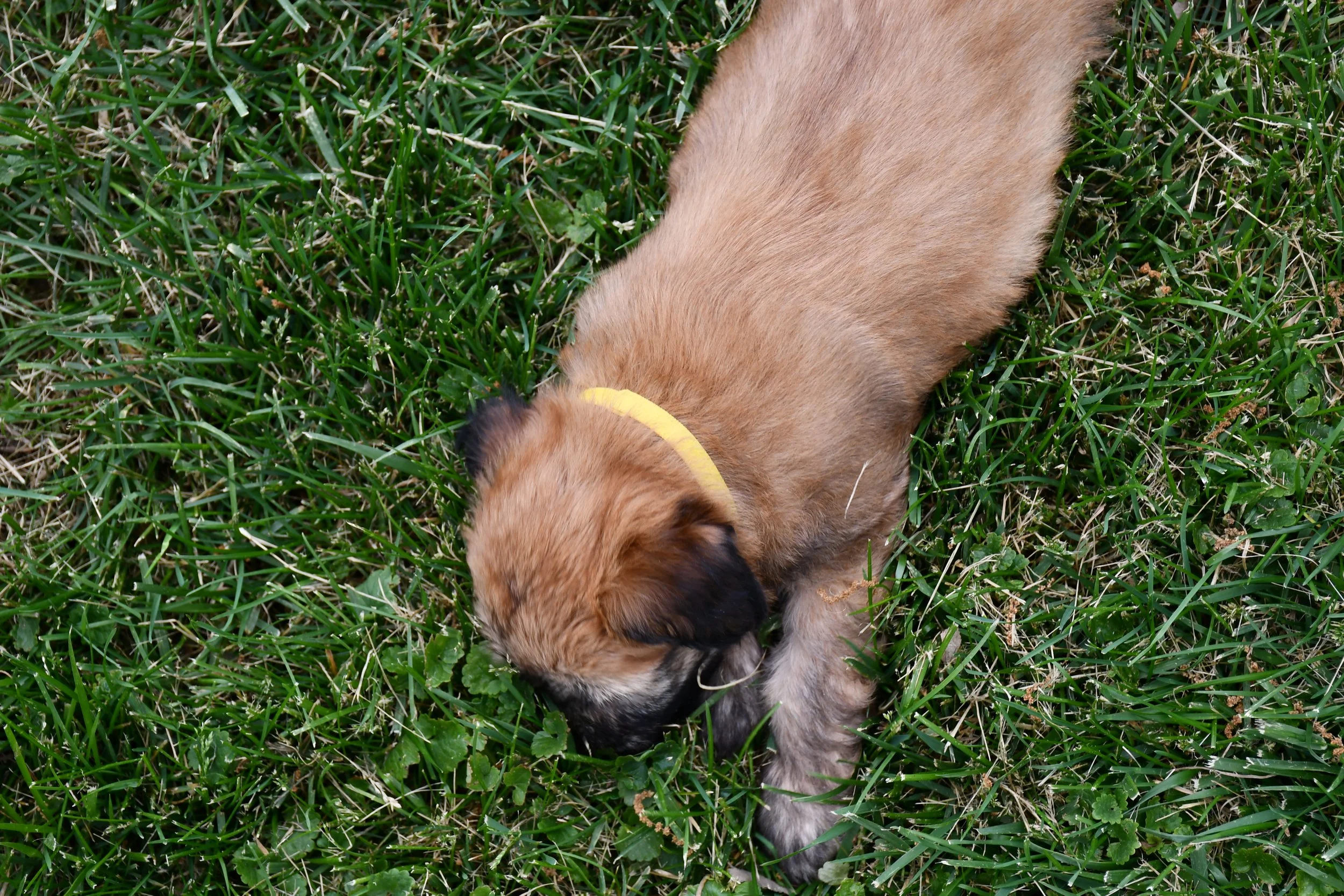 DSC_2810.JPG