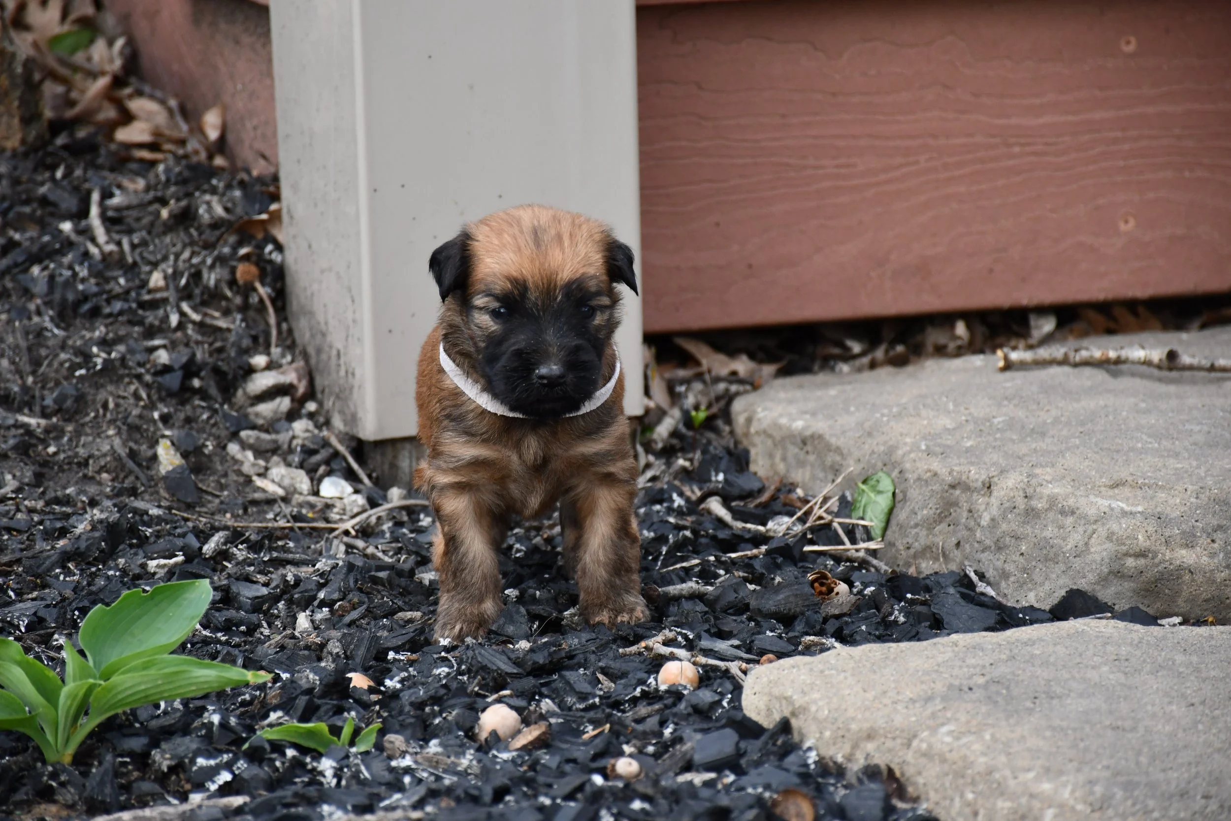 DSC_2235.JPG