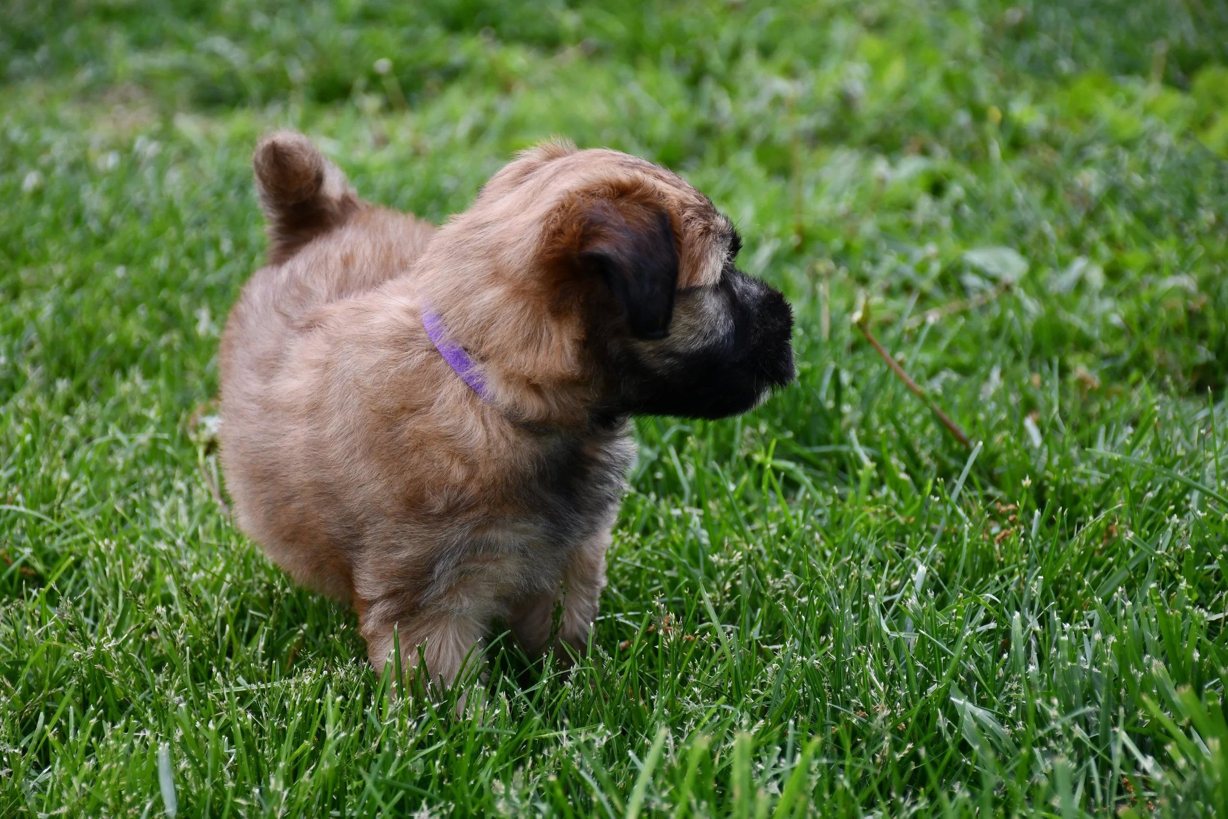 DSC_2859.JPG