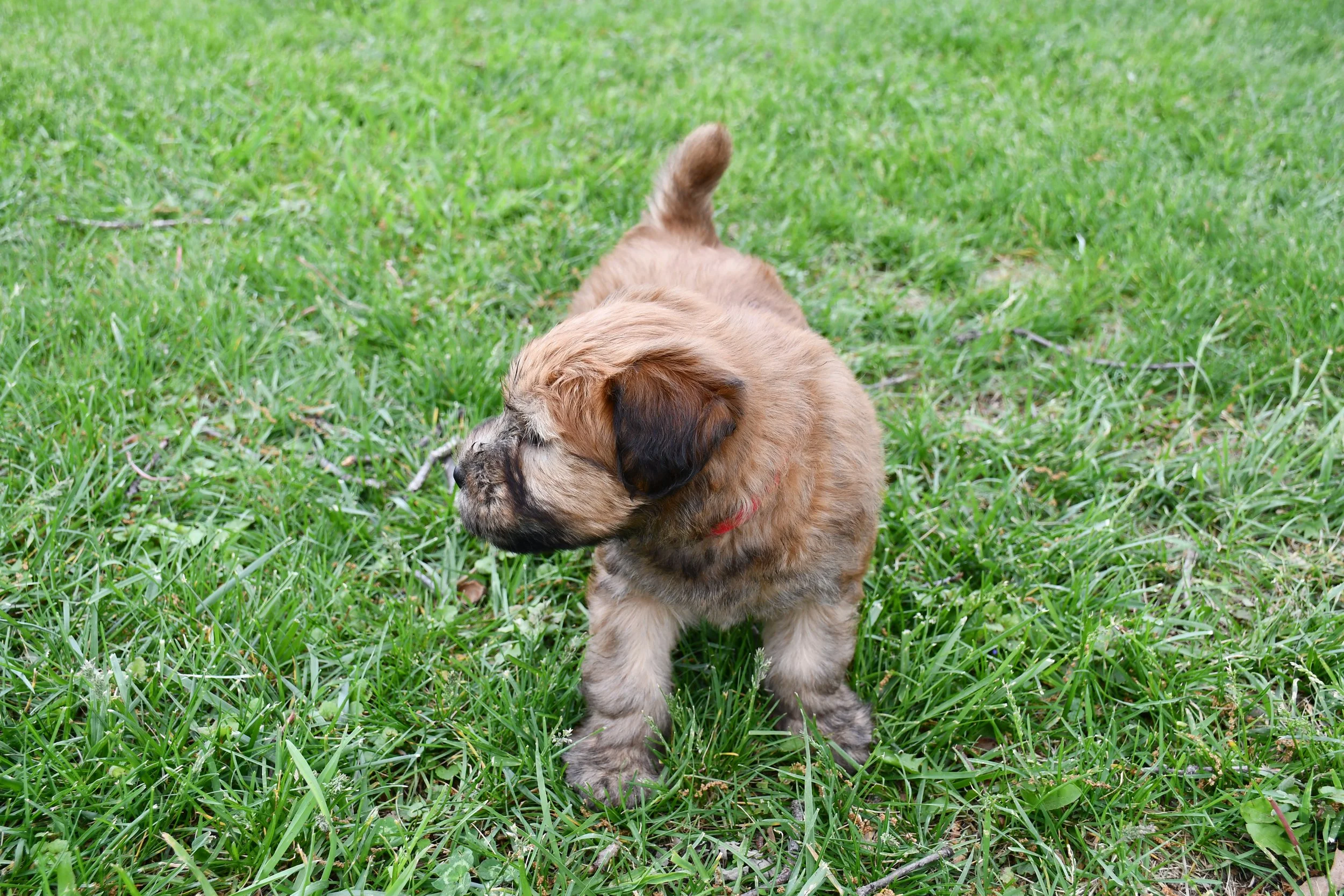DSC_2695.JPG