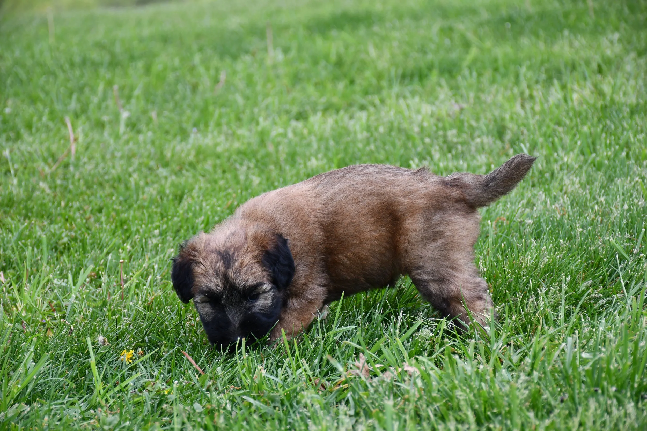 DSC_2770.JPG