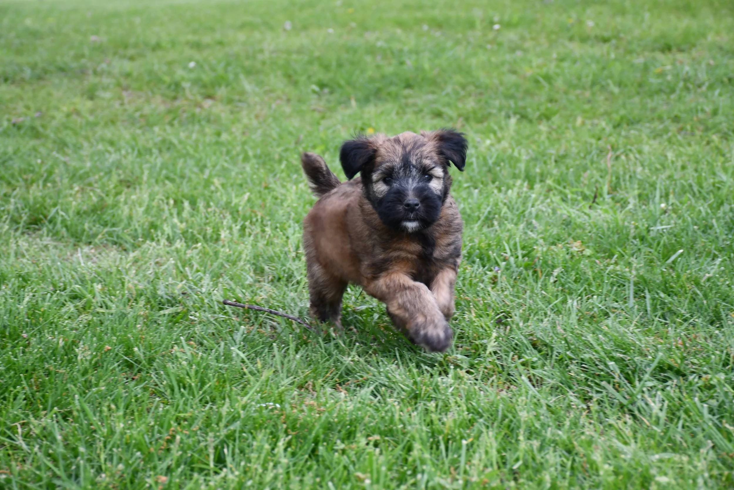DSC_2838.JPG