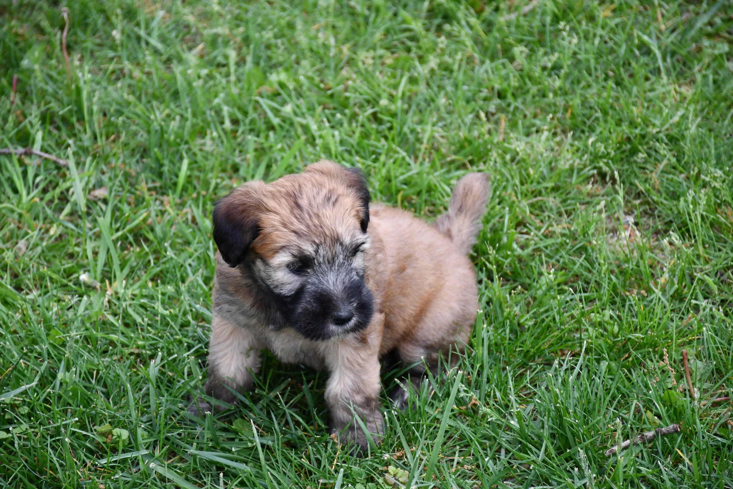 DSC_2868.JPG