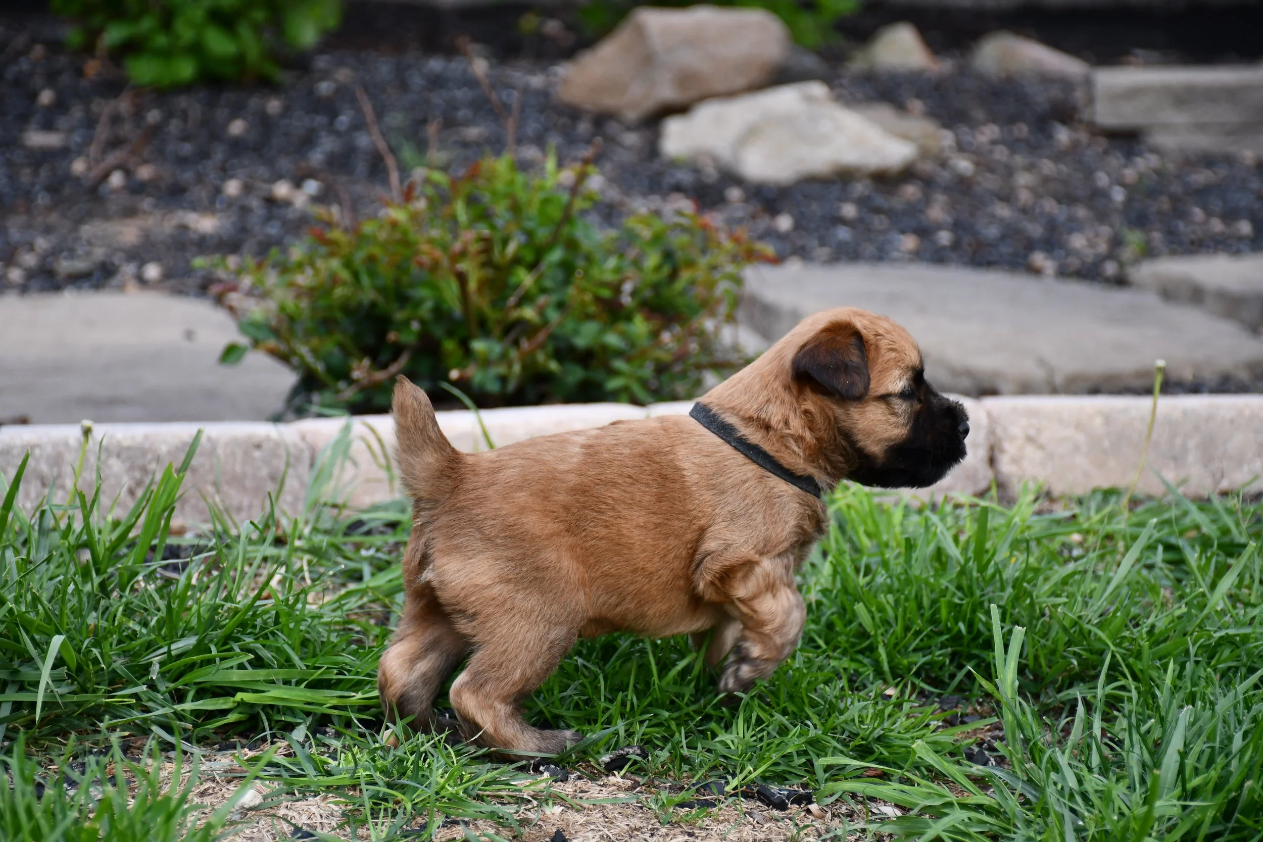 DSC_2228.JPG