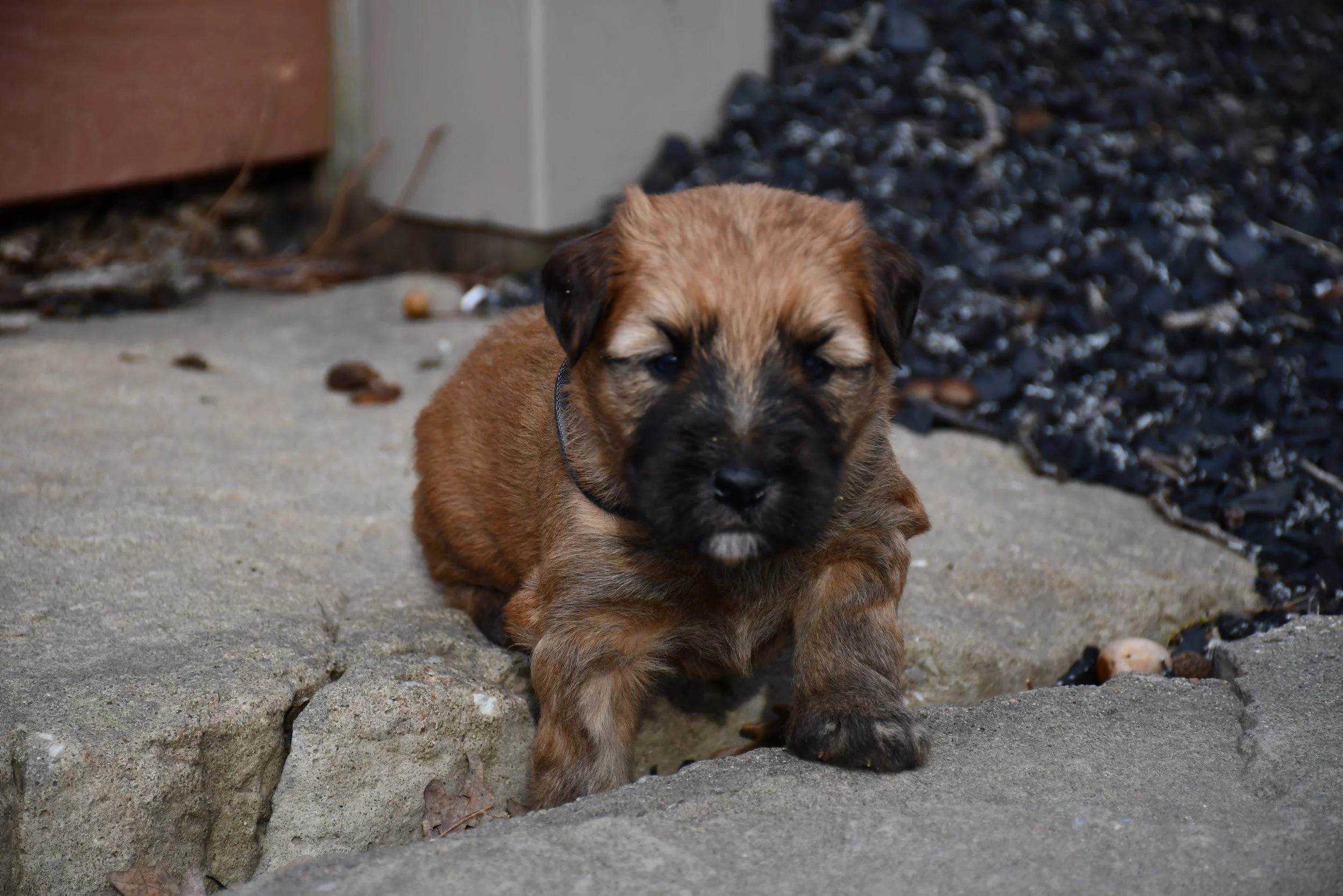 DSC_2191.JPG