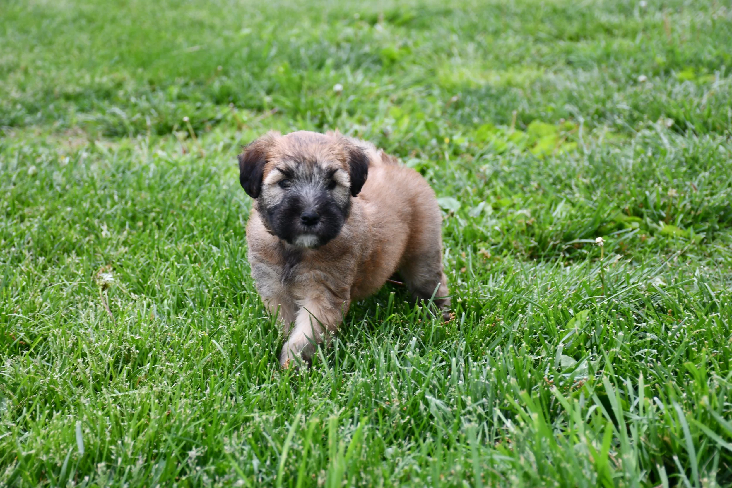 DSC_2857.JPG