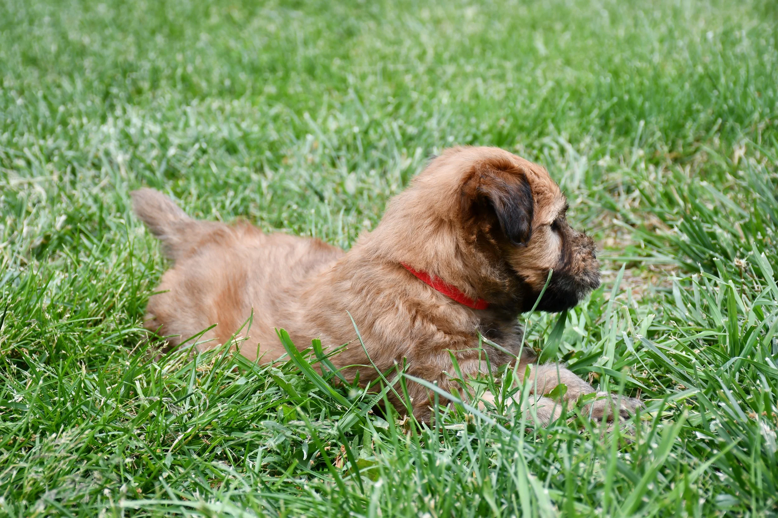 DSC_2679.JPG