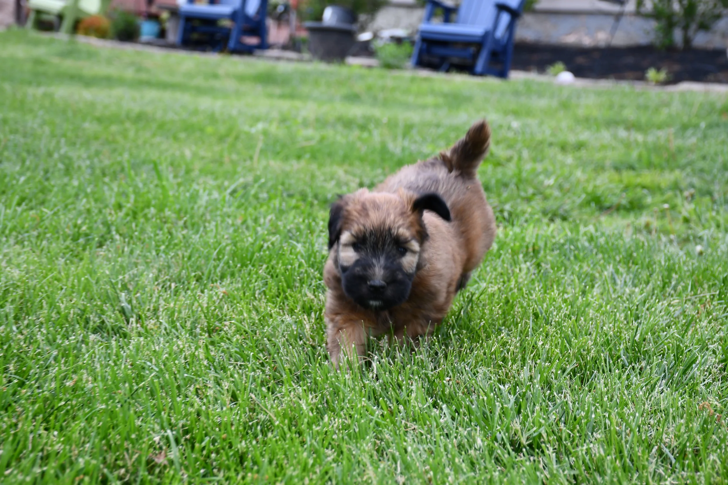 DSC_2788.JPG