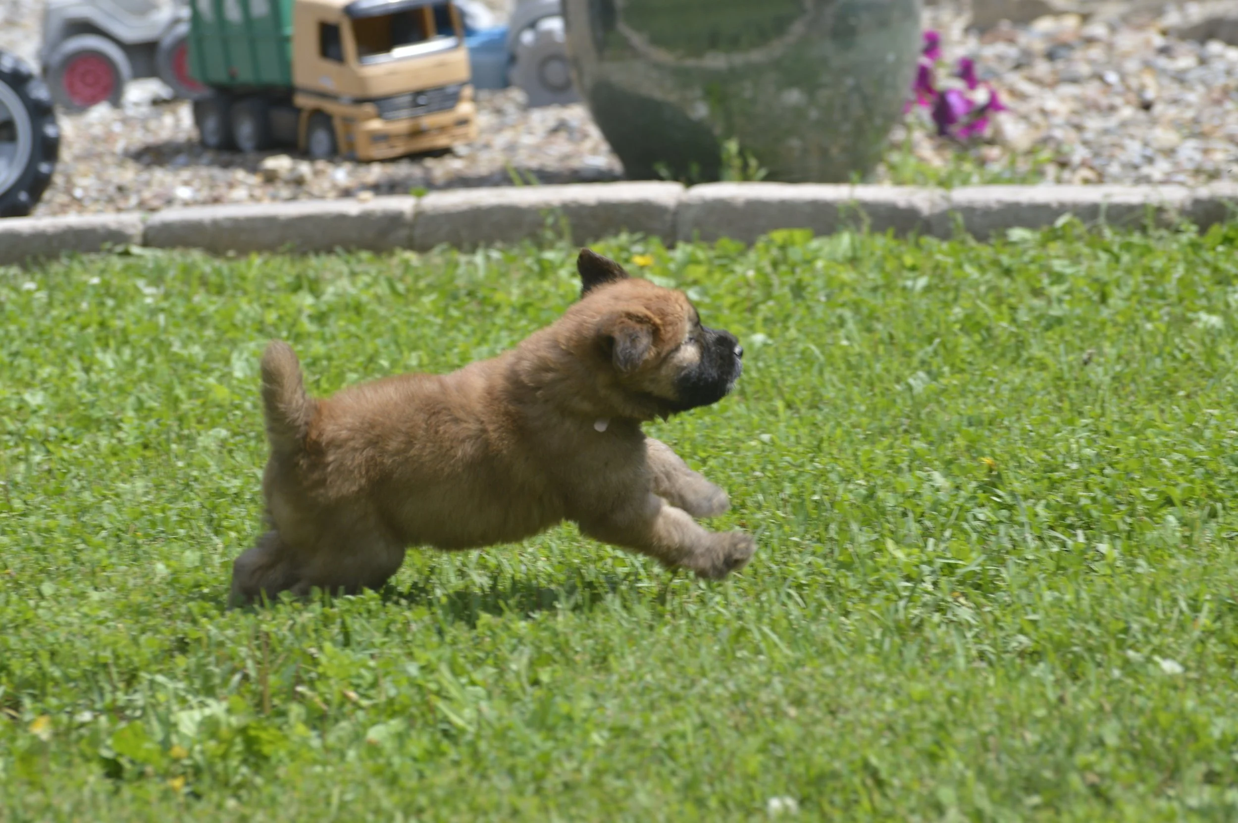 _DSC0060.JPG