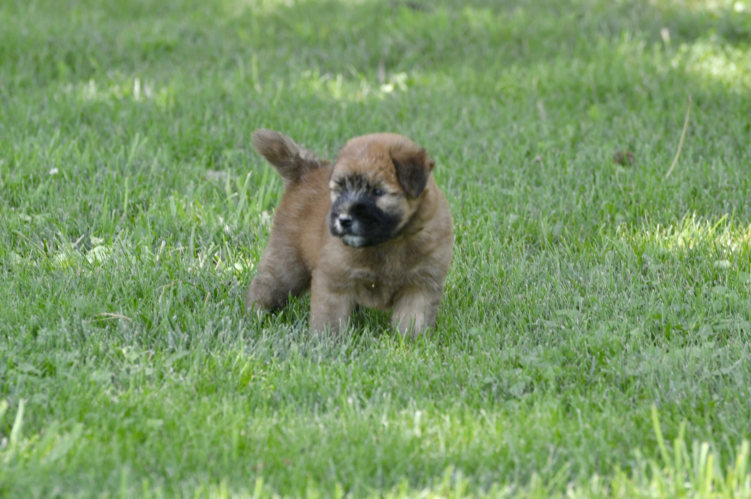 _DSC0408.jpg