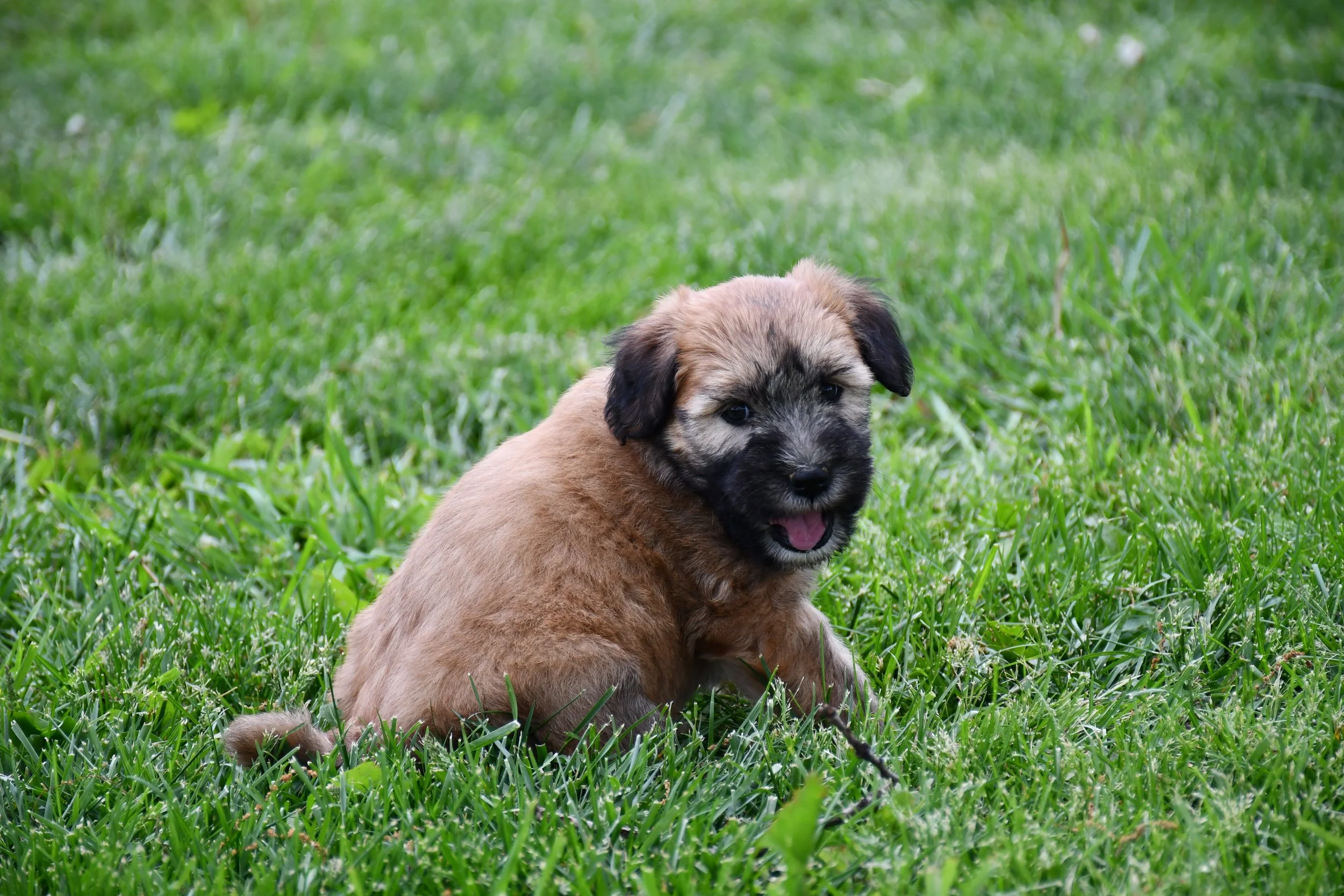 DSC_2825.JPG