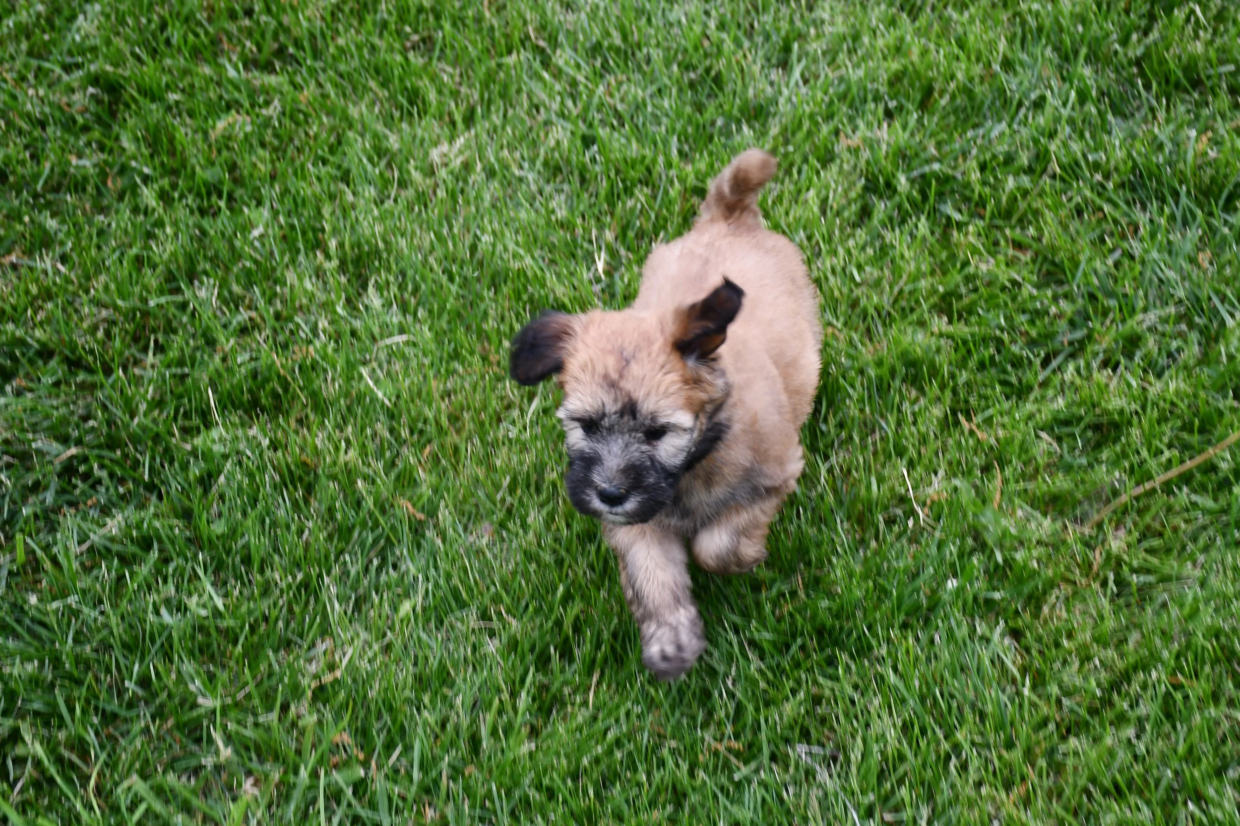 DSC_2818.JPG