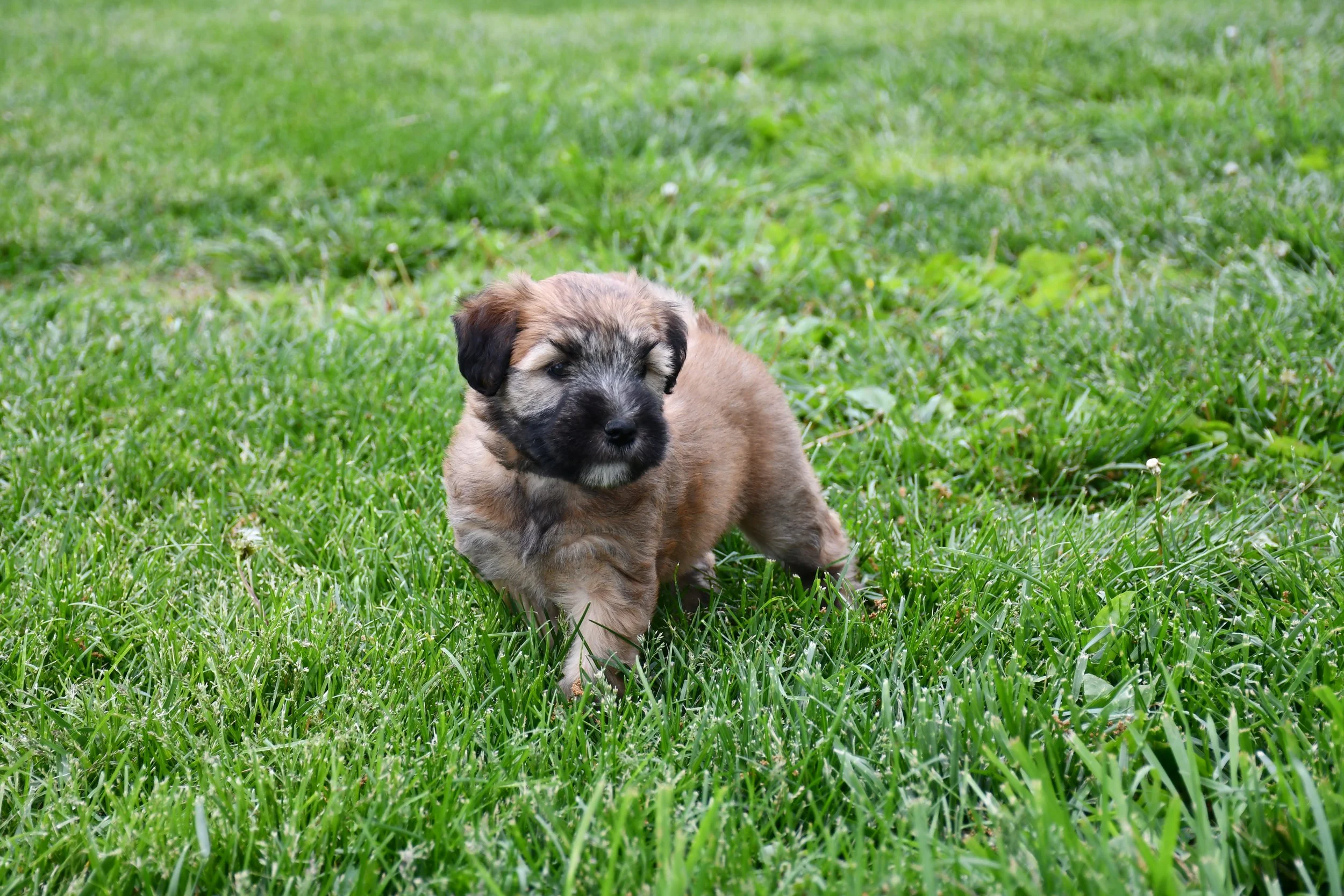 DSC_2858.JPG