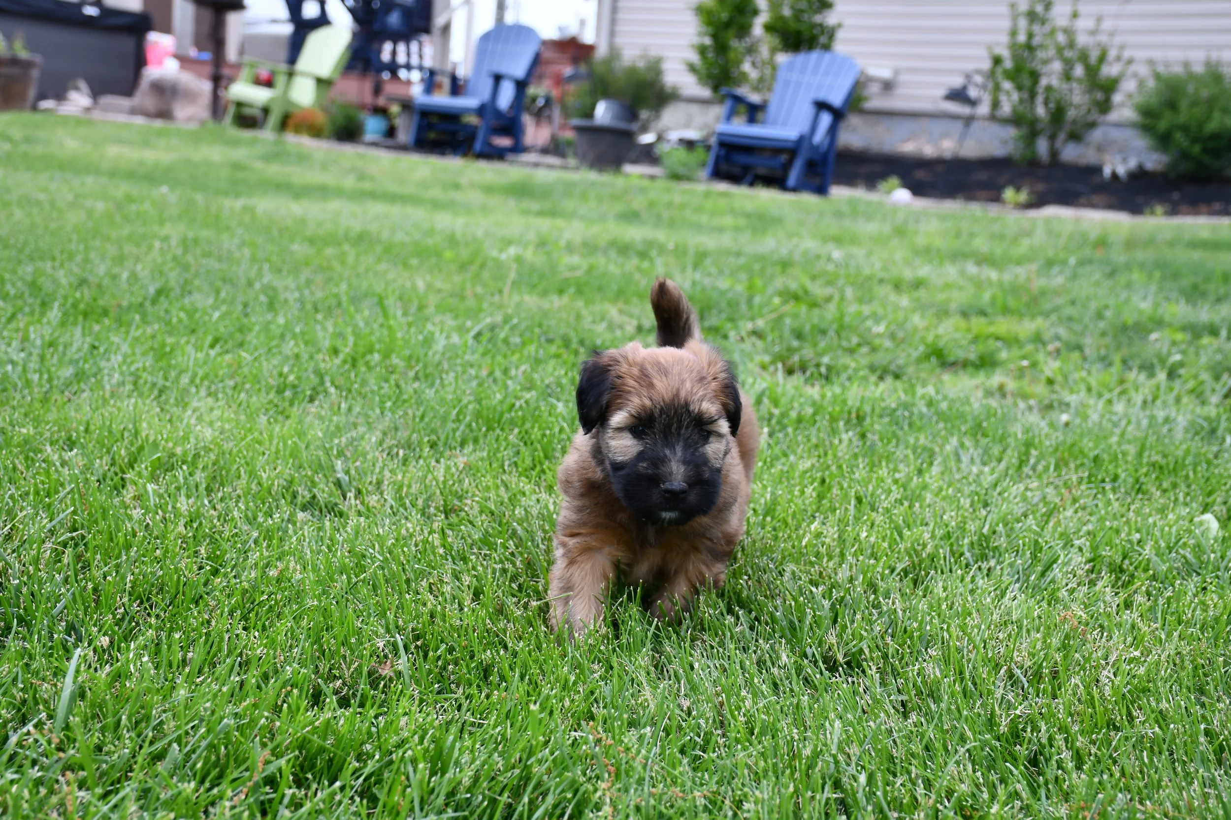DSC_2790.JPG