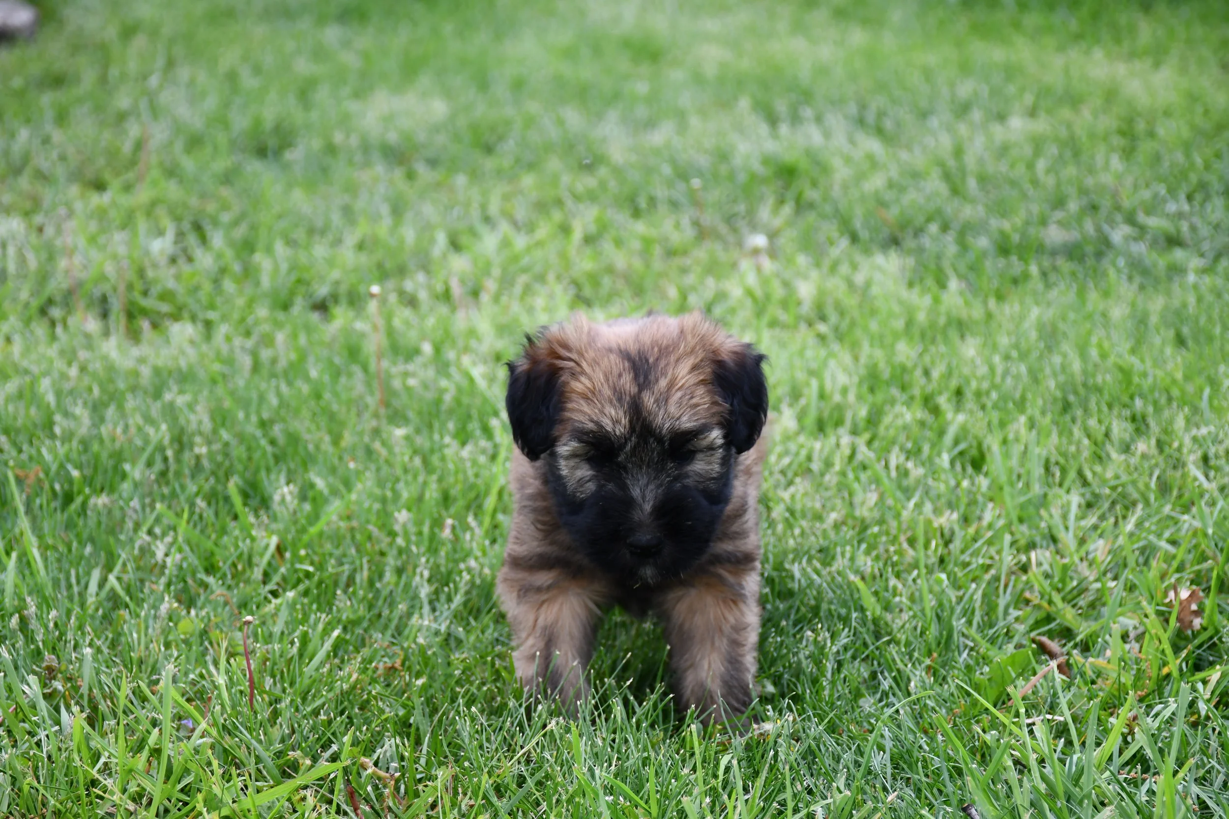 DSC_2769.JPG