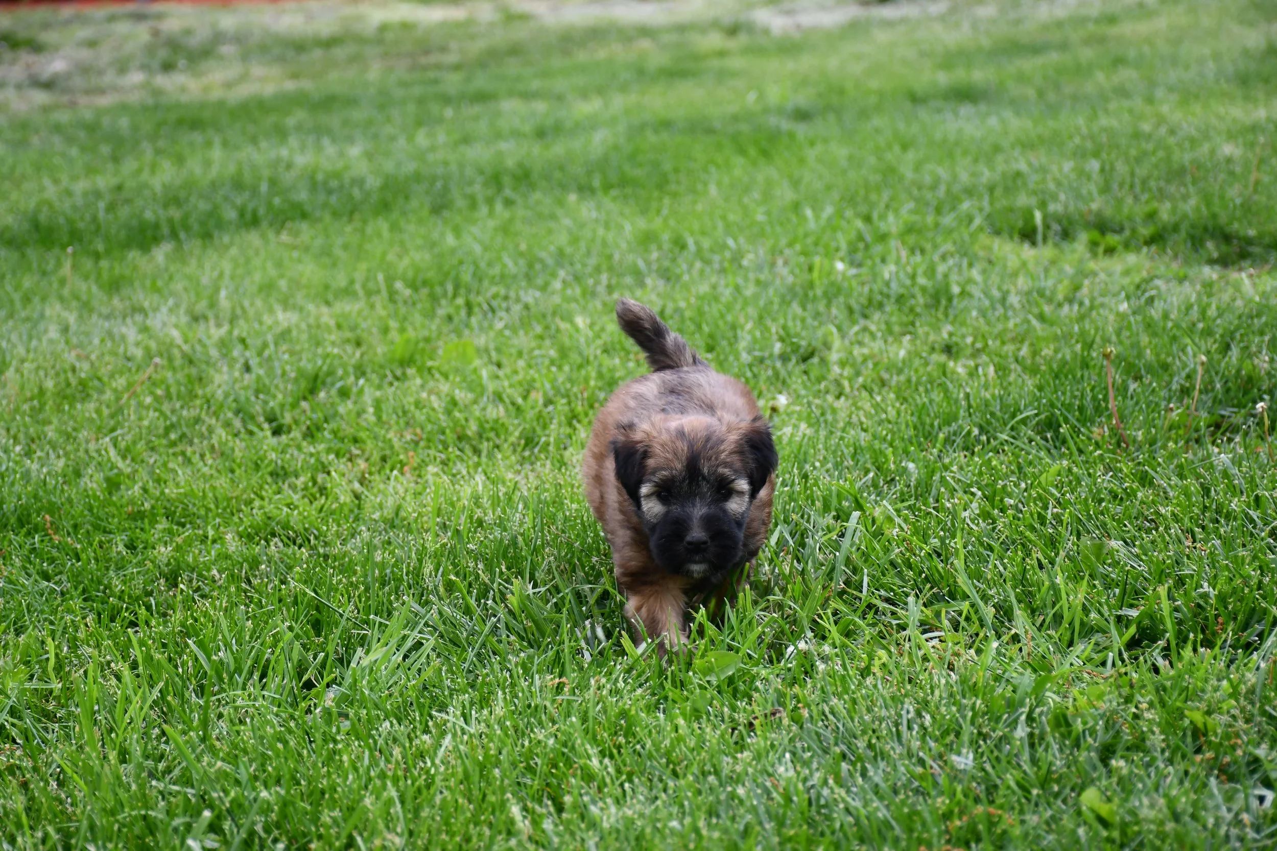 DSC_2846.JPG
