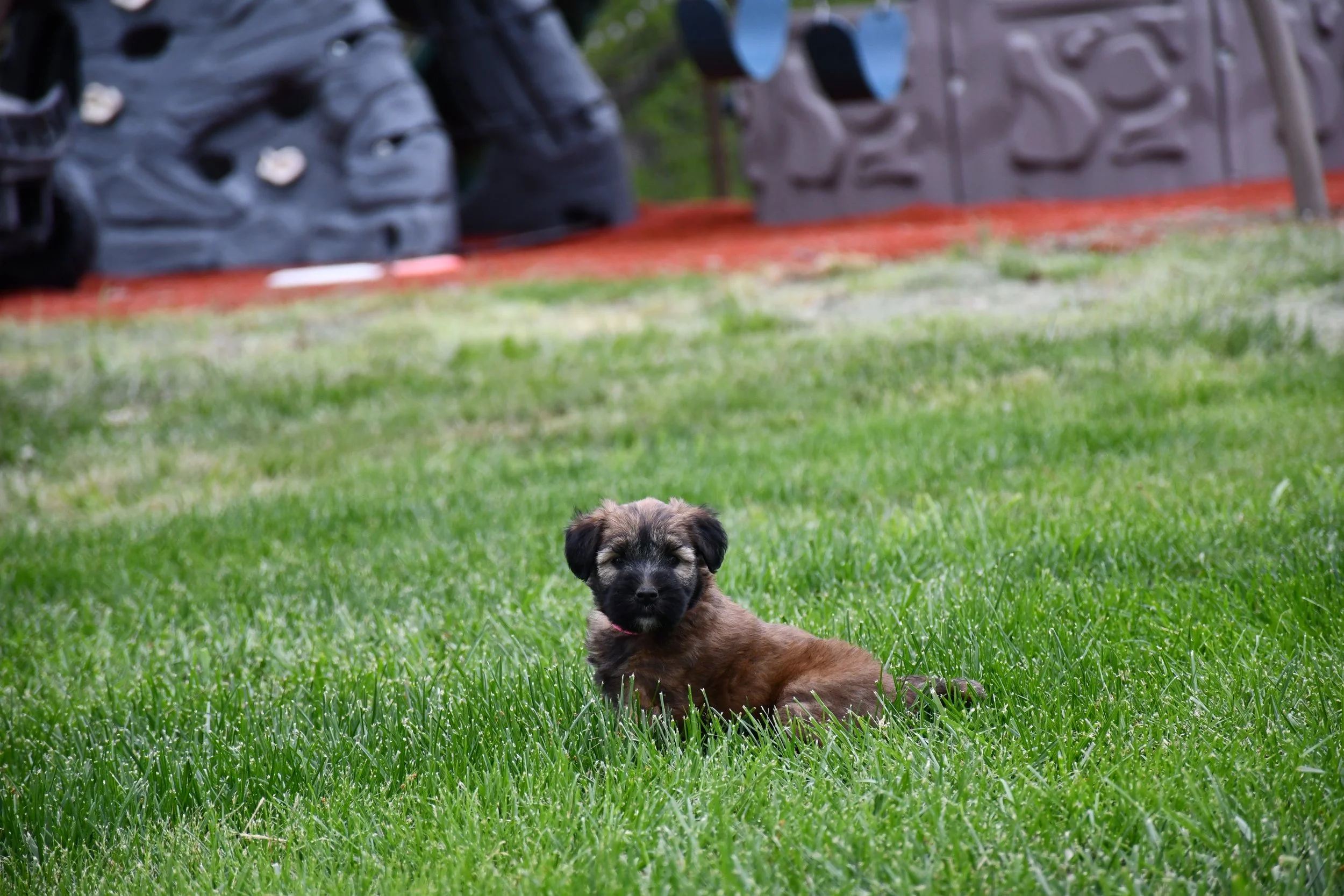 DSC_2843.JPG