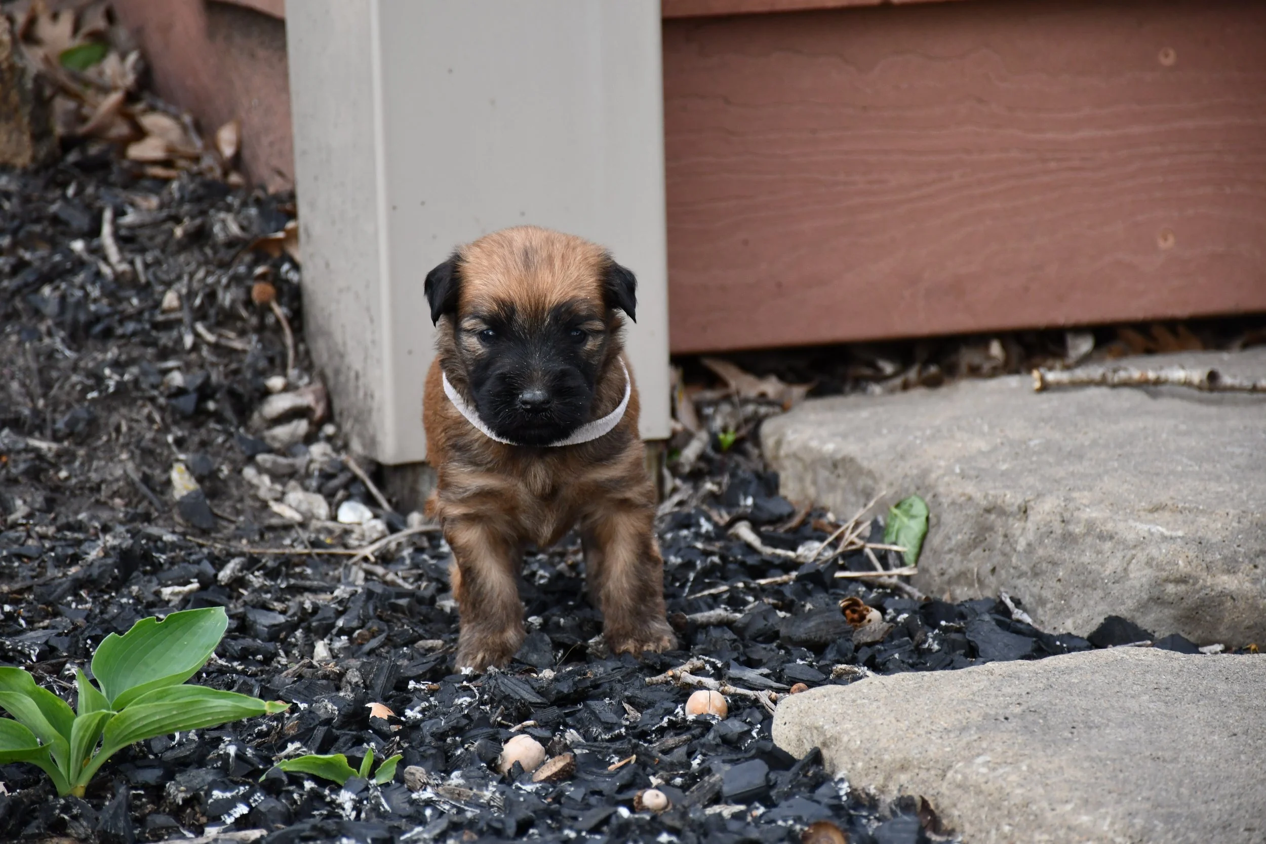DSC_2236.JPG