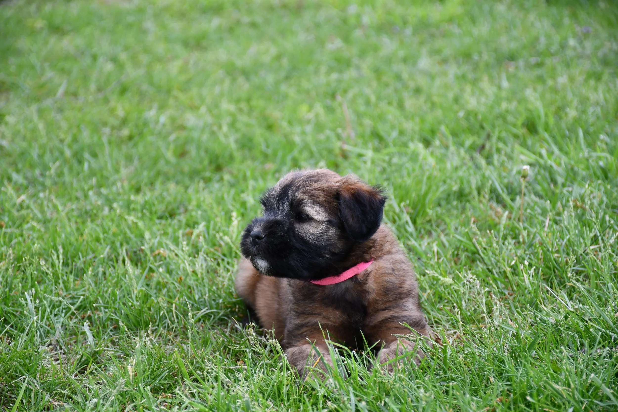 DSC_2837.JPG