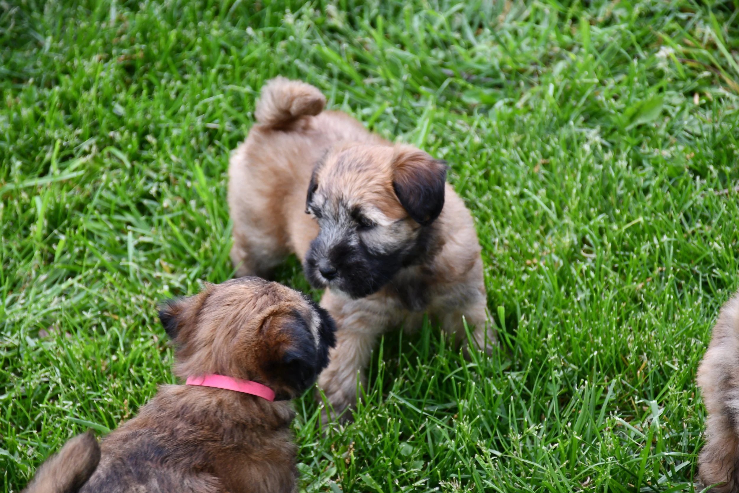 DSC_2861.JPG