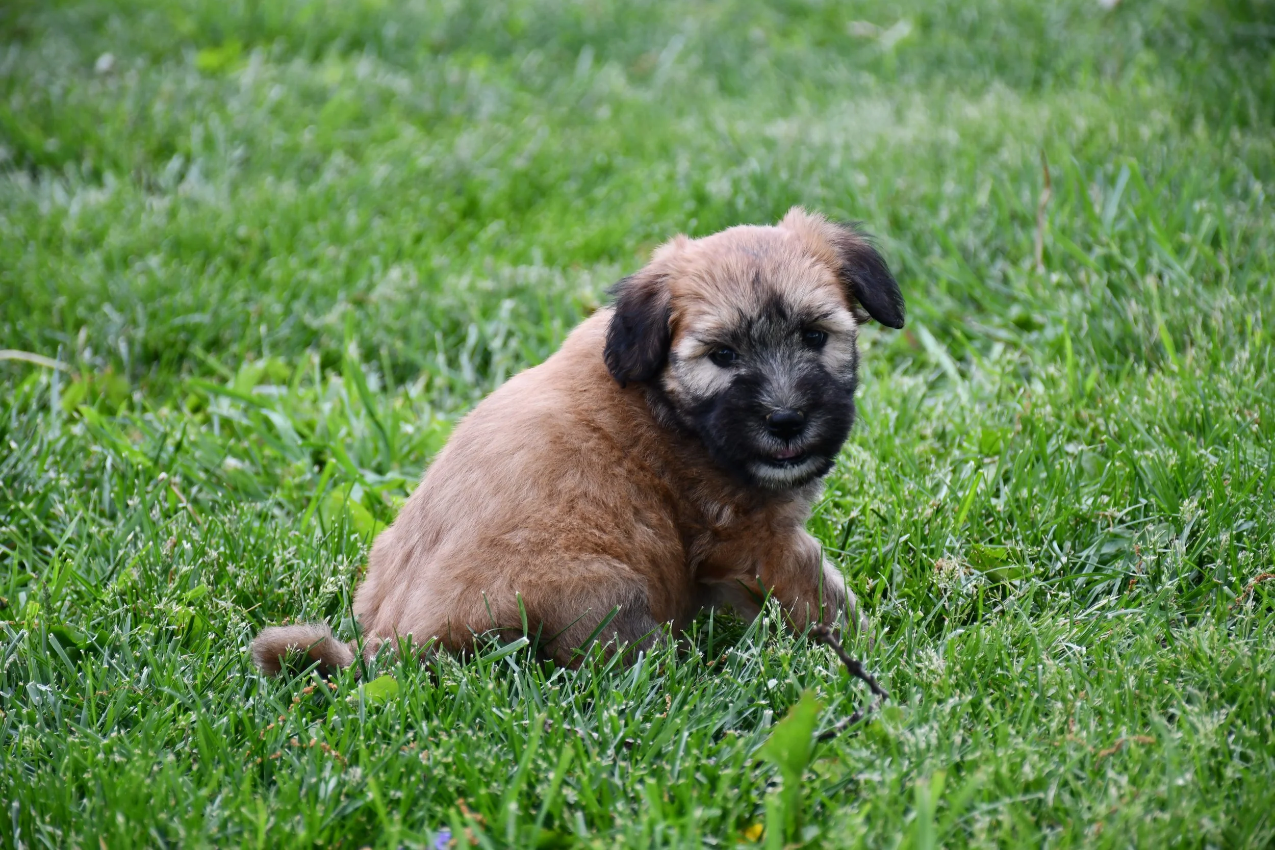 DSC_2824.JPG