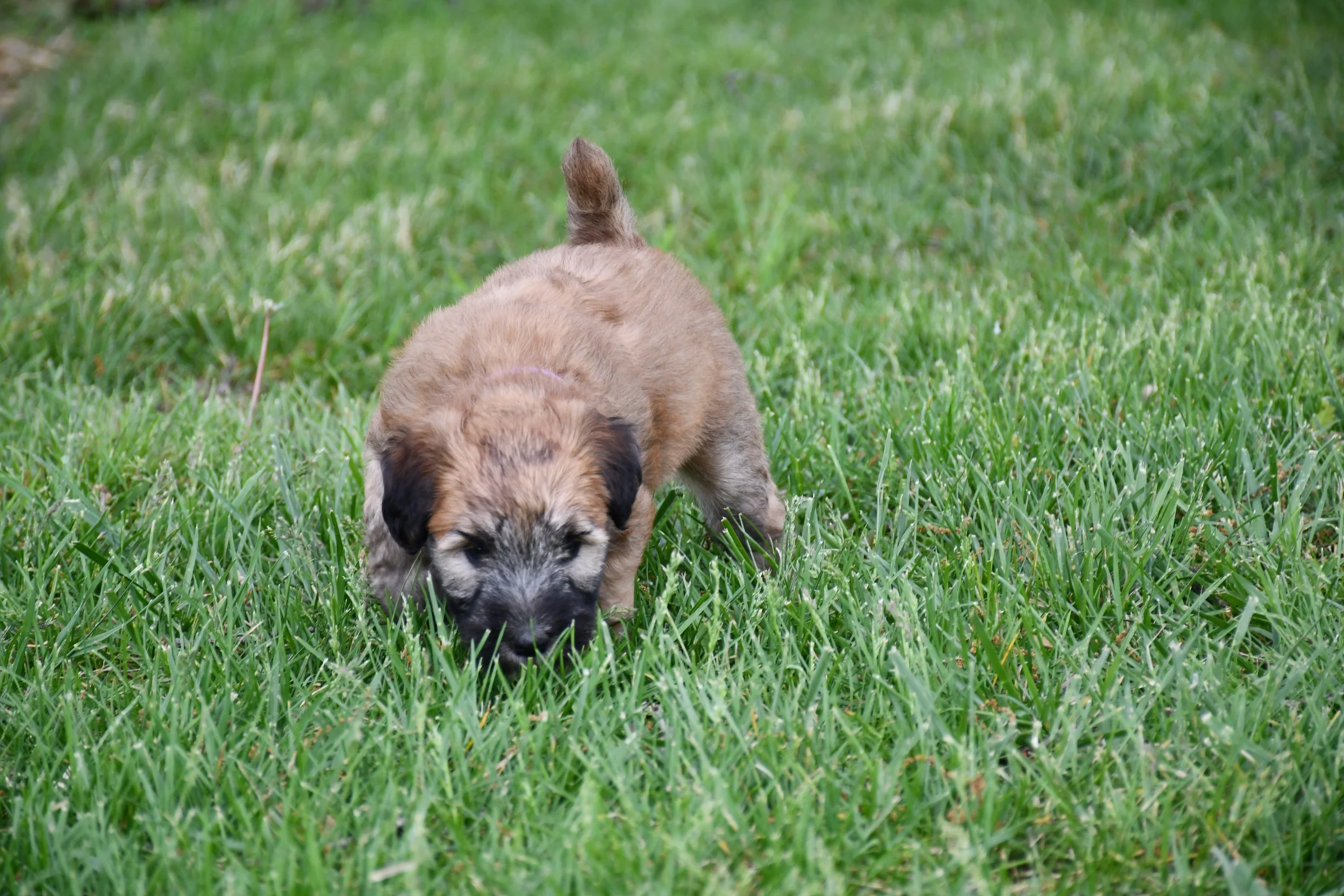 DSC_2853.JPG