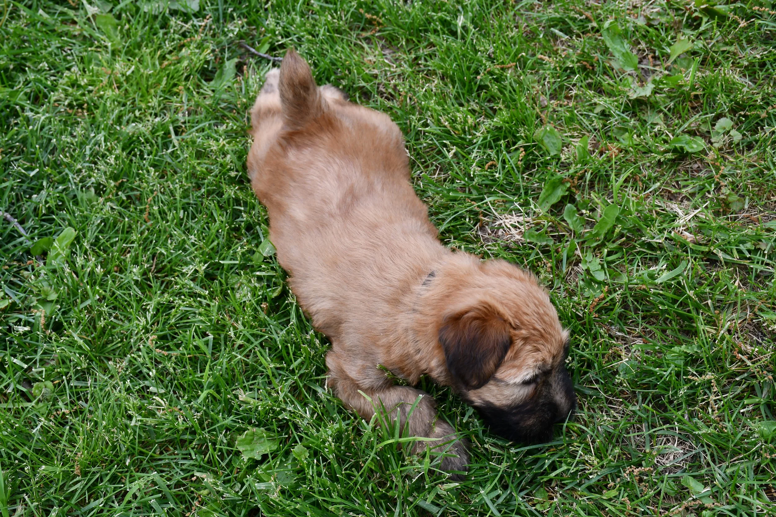 DSC_2684.JPG