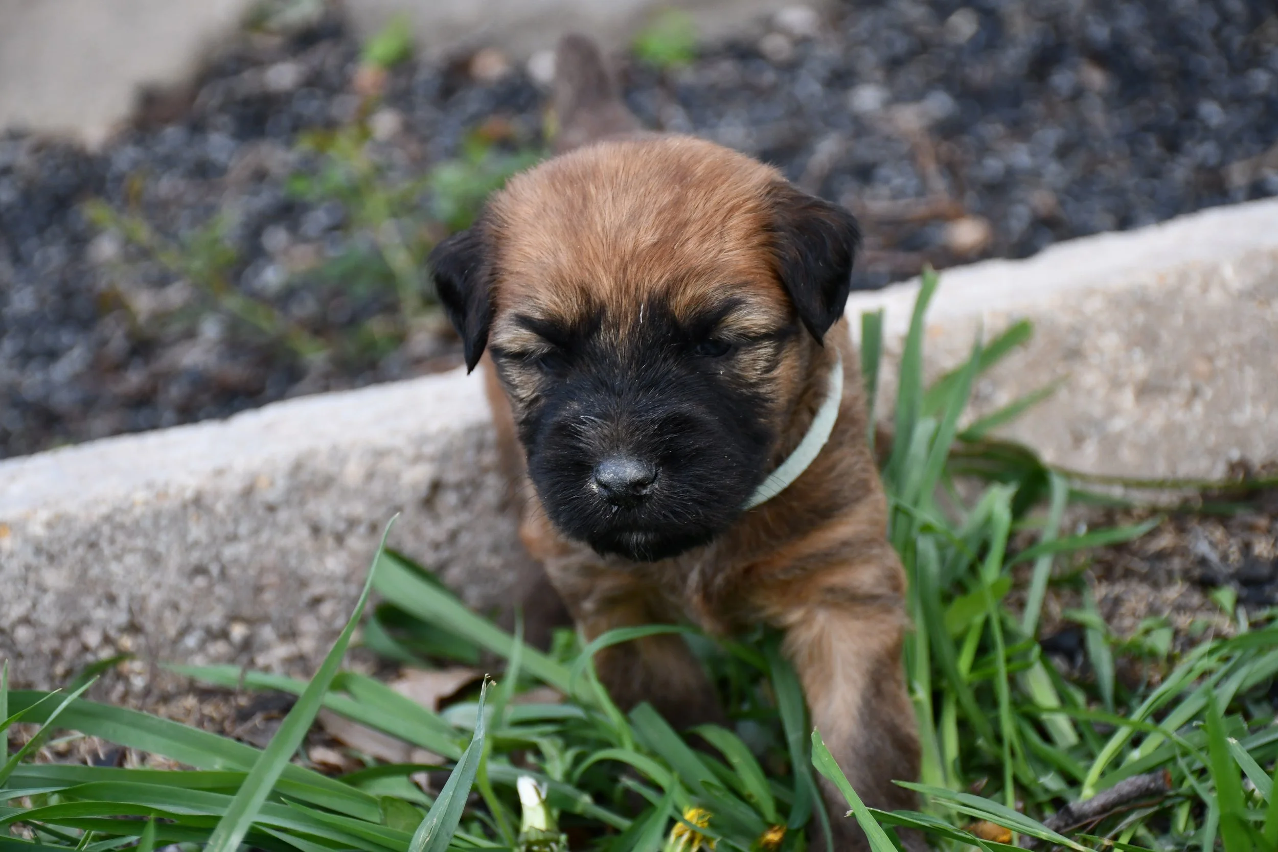 DSC_2350.JPG