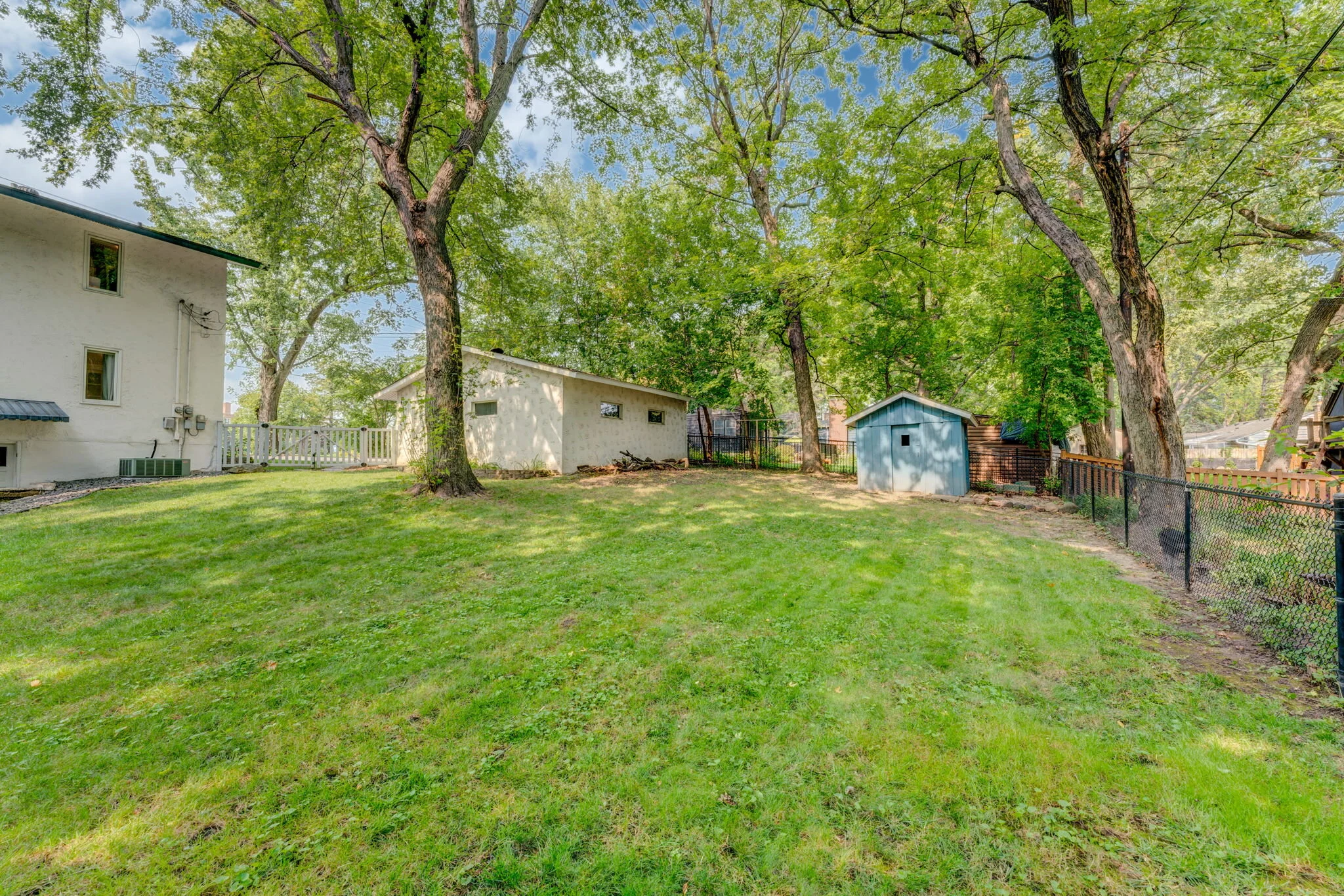 Blake backyard.jpg