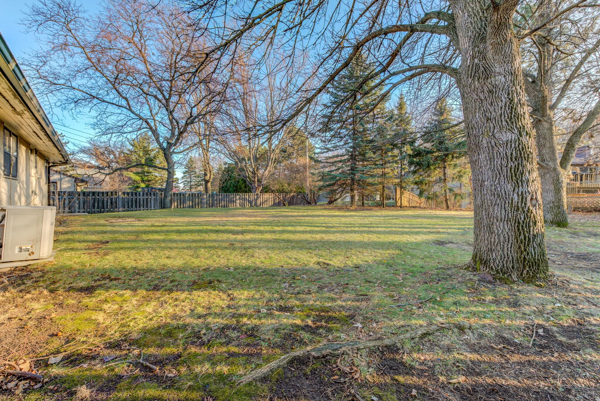 354+County+Road+B2+W+Roseville-23-large-Back+Yard.jpg