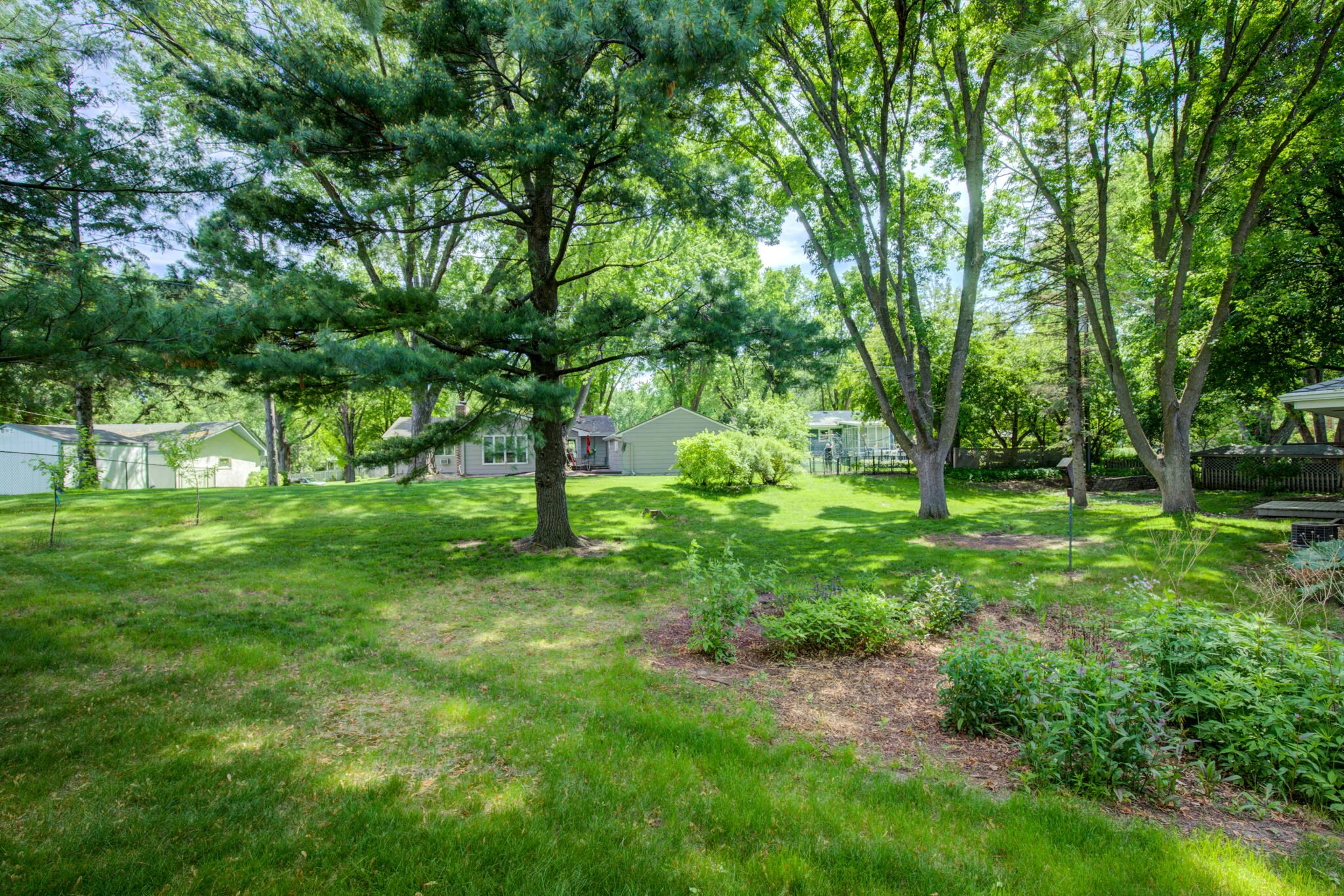 web_Backyard (1).jpg