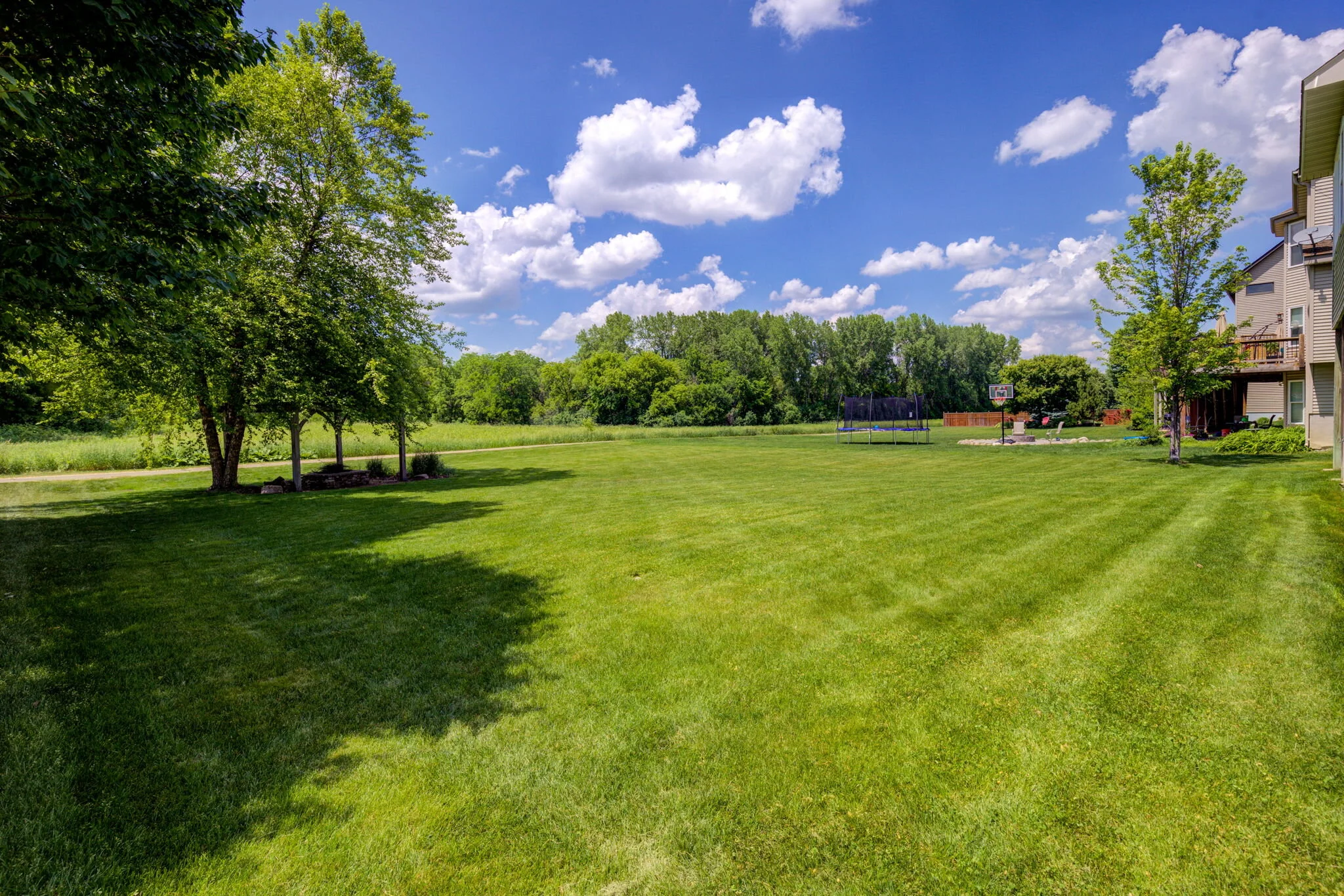 web_Backyard (2).jpg