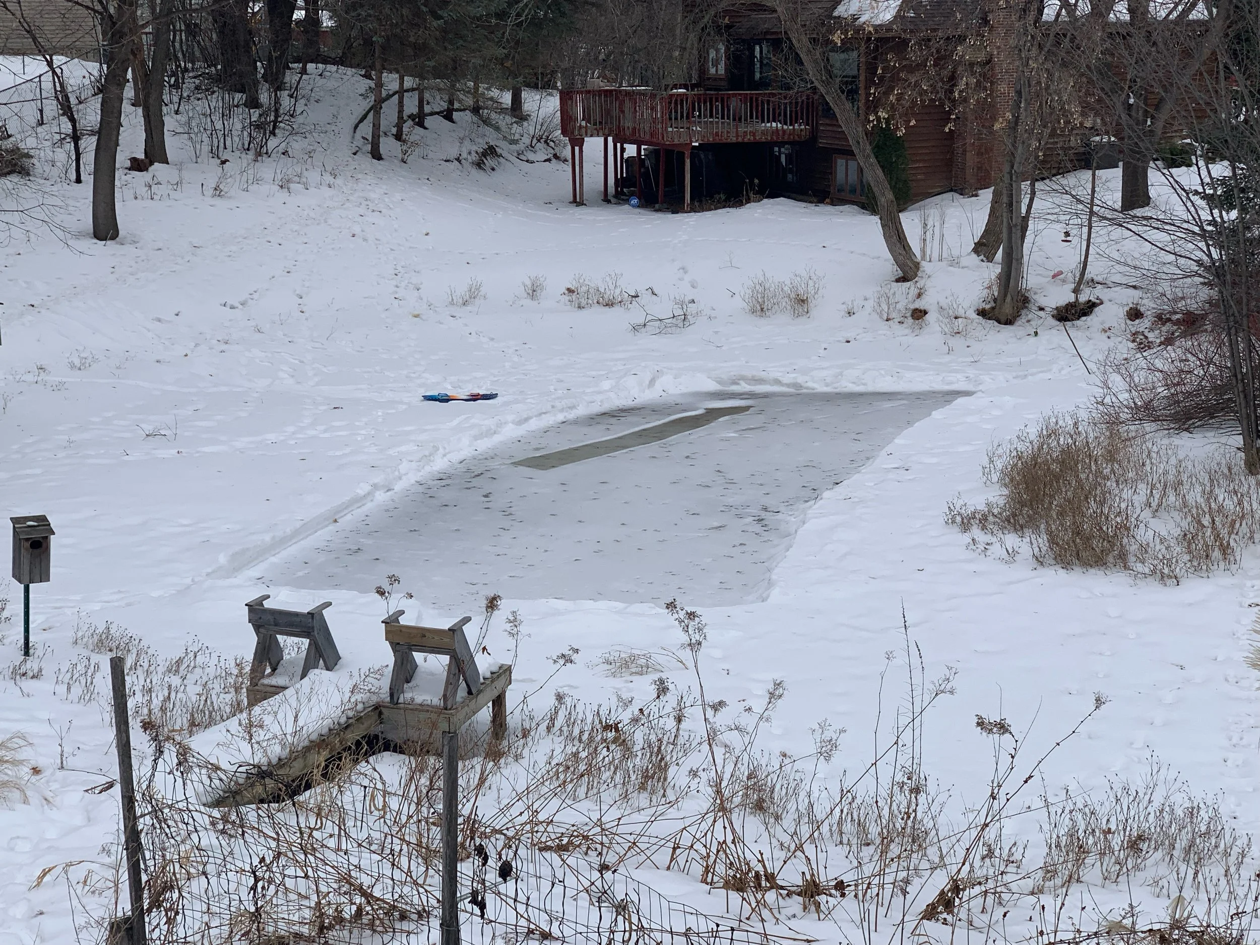 Winter pond.jpg