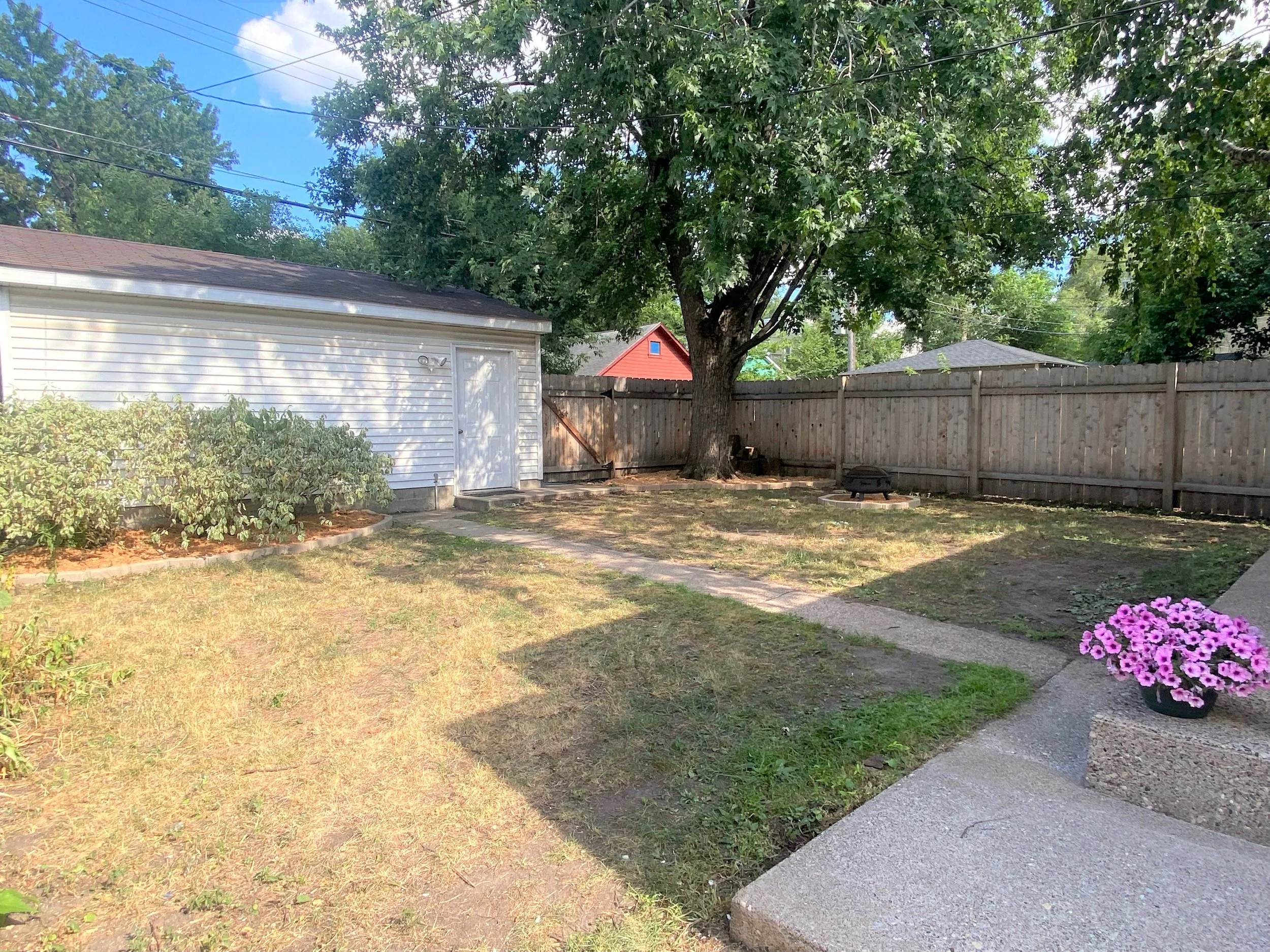 Backyard 3.jpg