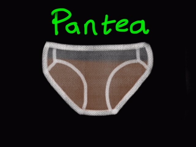 Pantea_.jpeg