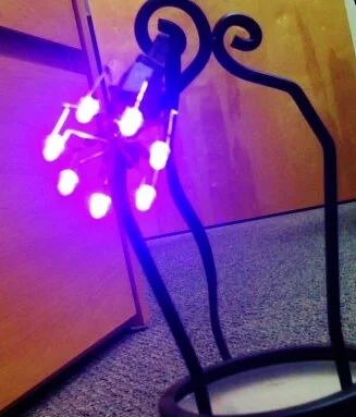 215187_9478289165_9412_n.jpg
