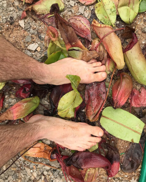 Dominick tip-toeing around the greenhouse