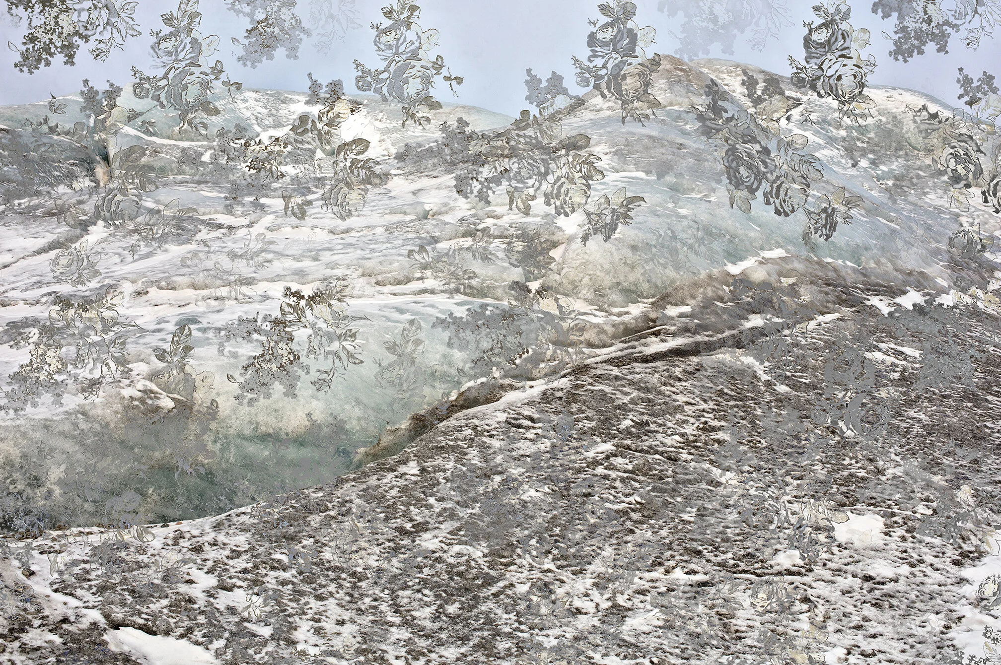 ZeldaZInn_Arctic_5680_2020.jpg